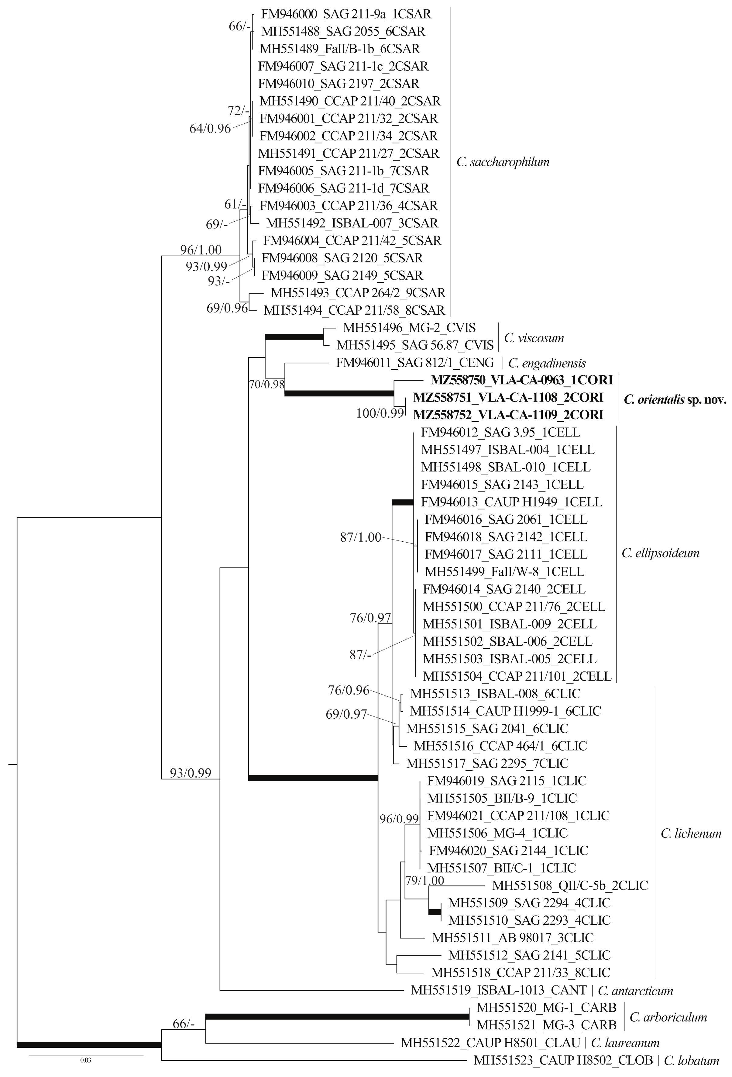 Plants 10 02560 g003 550