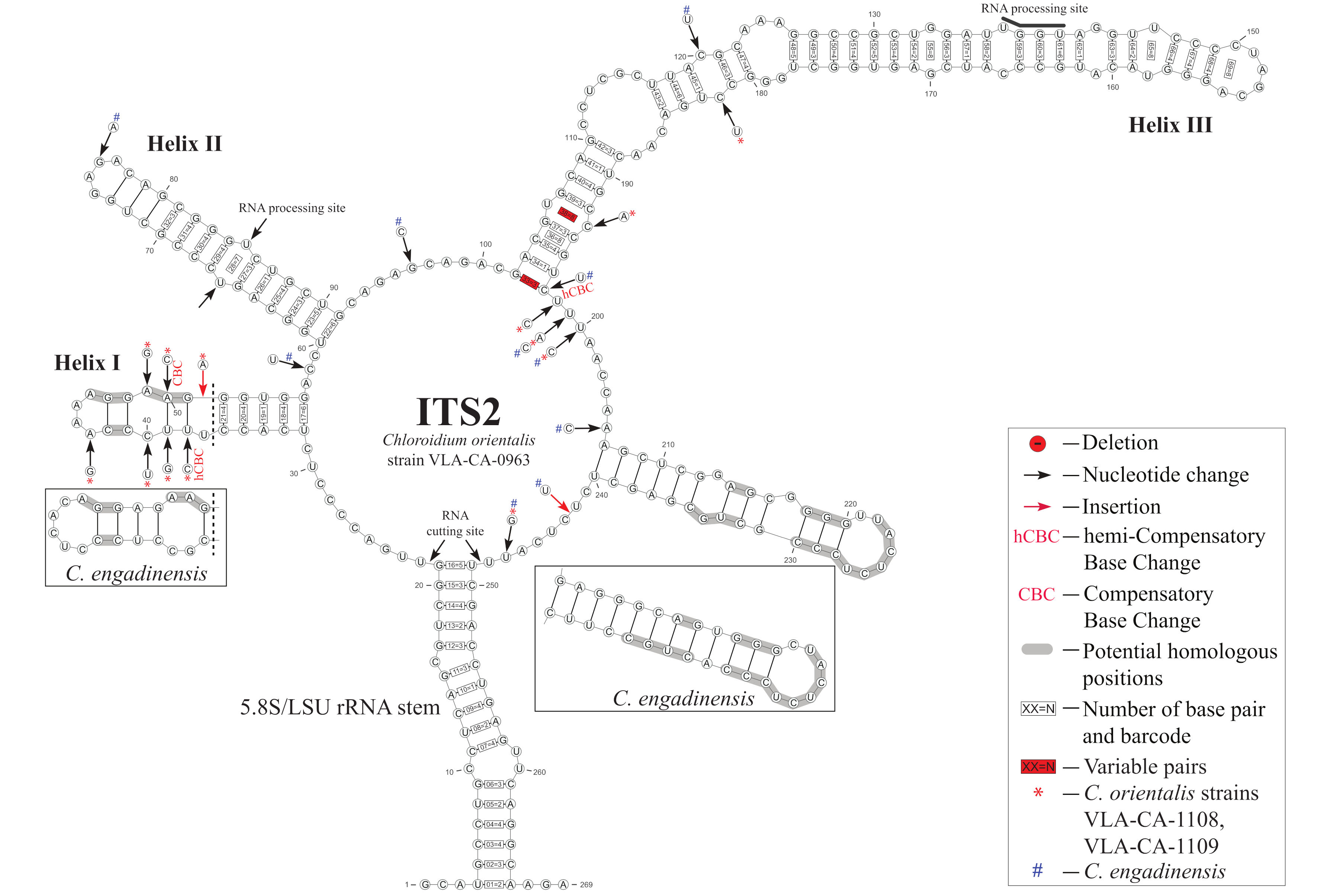 Plants 10 02560 g004 550