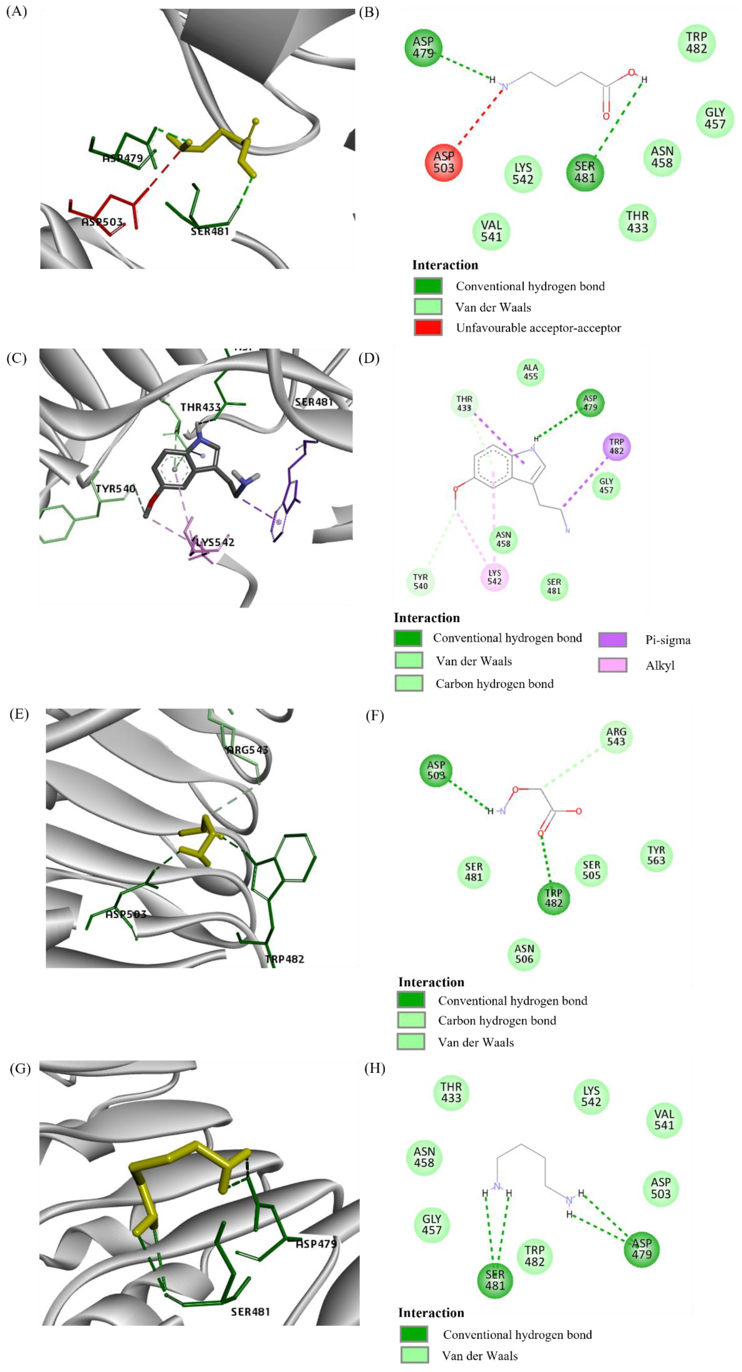 Plants 10 02574 g003 Plants 10 02574 g003