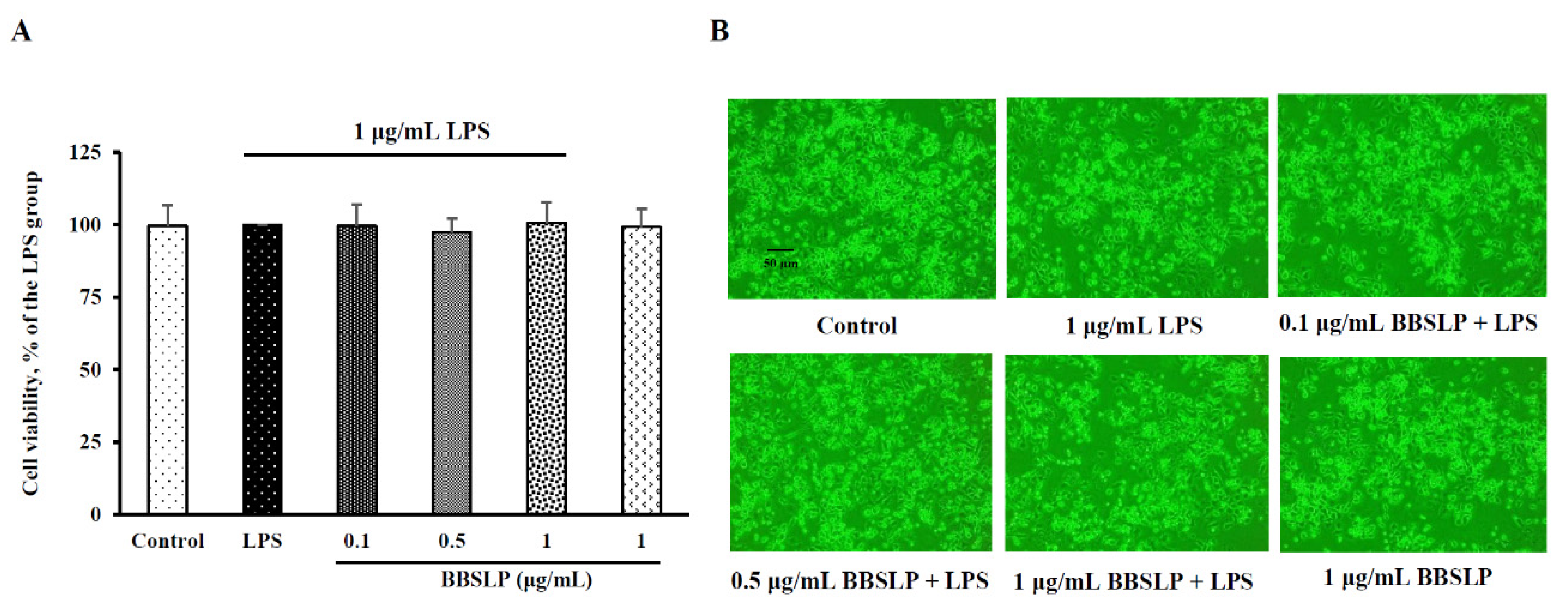 Plants 10 02579 g002 550