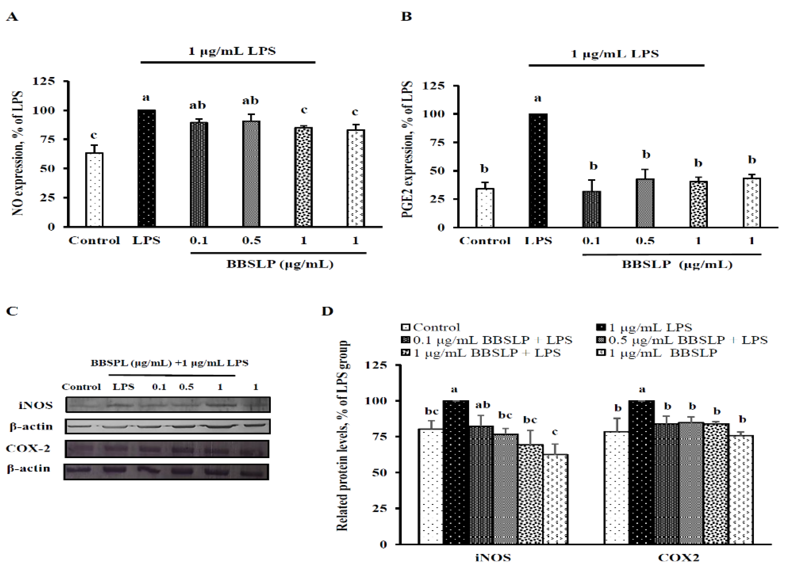 Plants 10 02579 g004 550