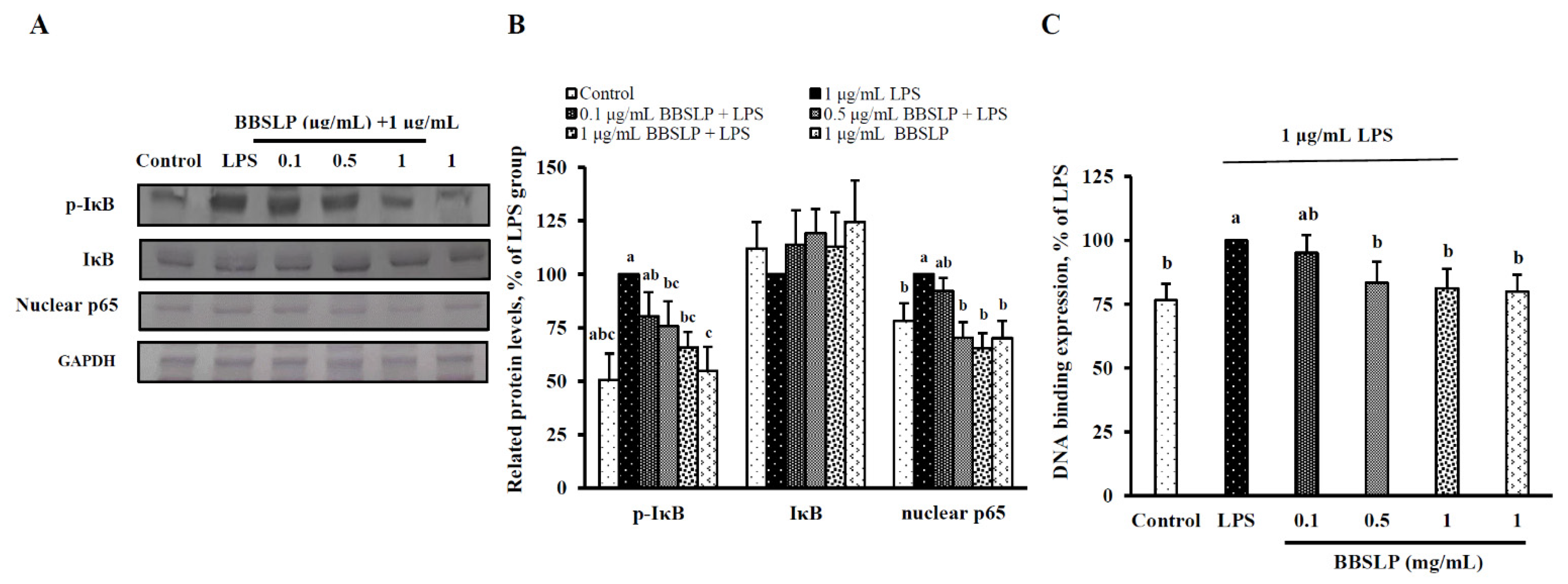 Plants 10 02579 g006 550
