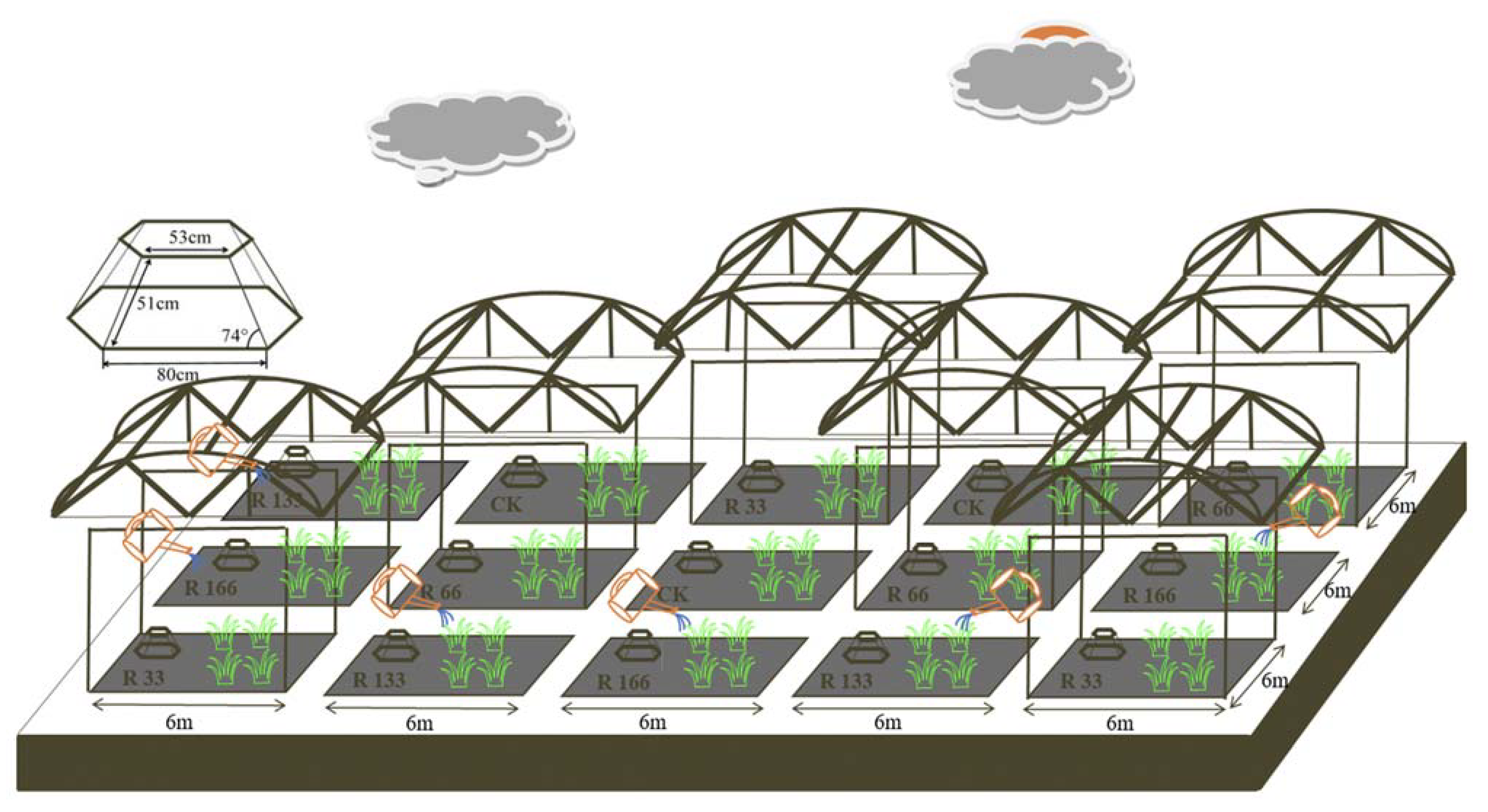 Plants 10 02580 g012 550