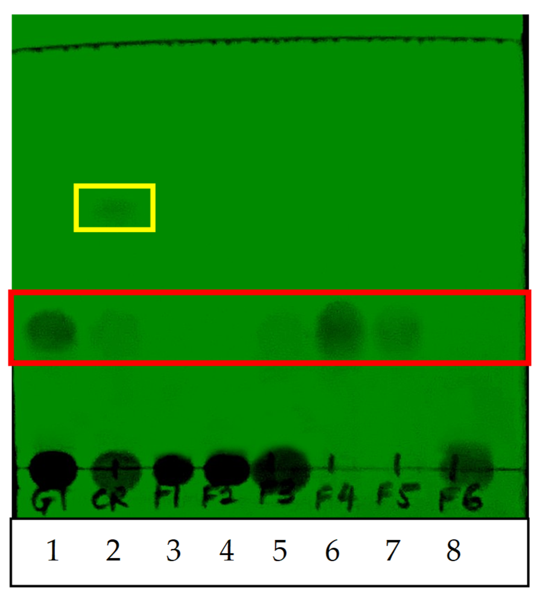 Plants 10 02581 g002 550