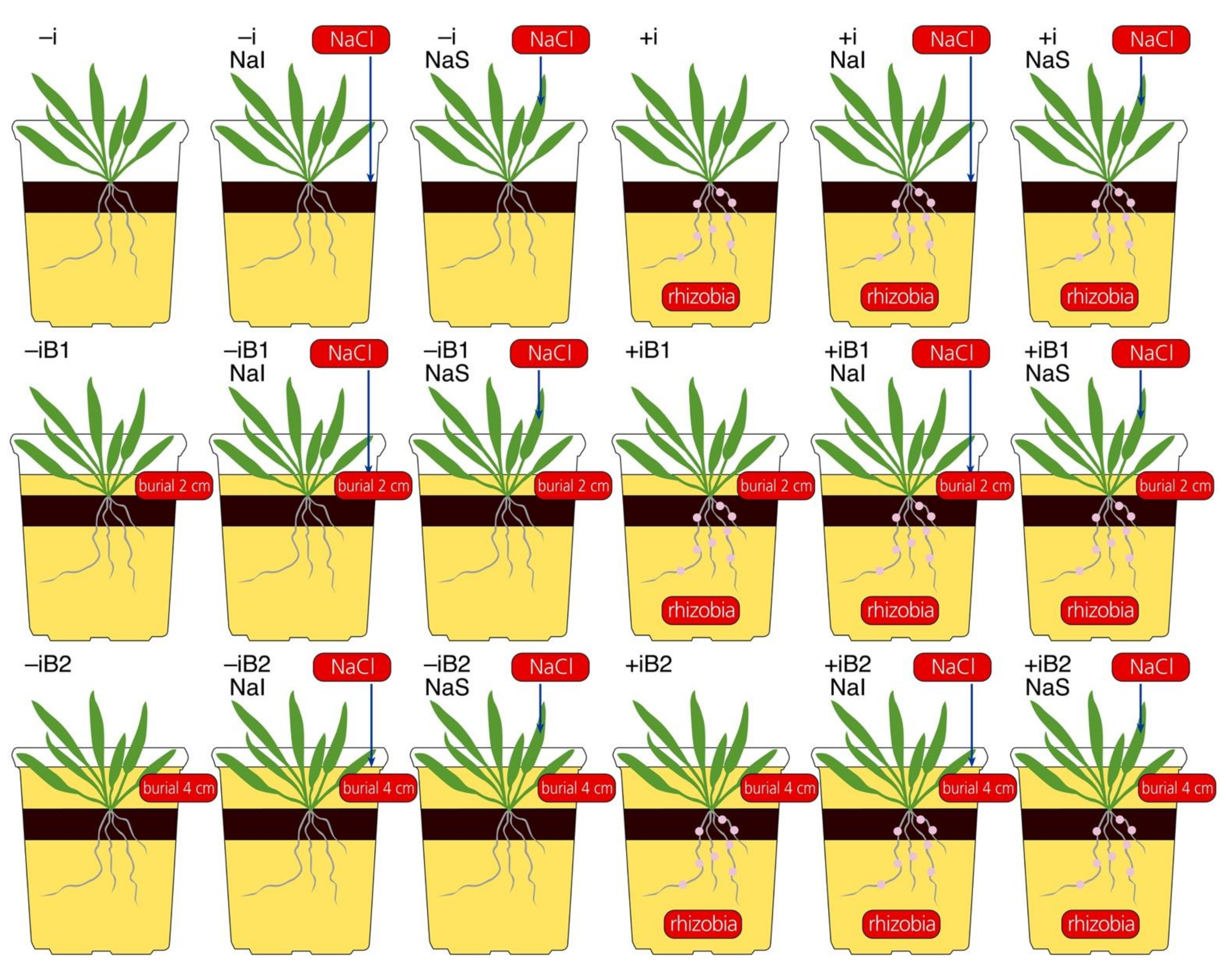 Plants 10 02584 g001 Plants 10 02584 g001