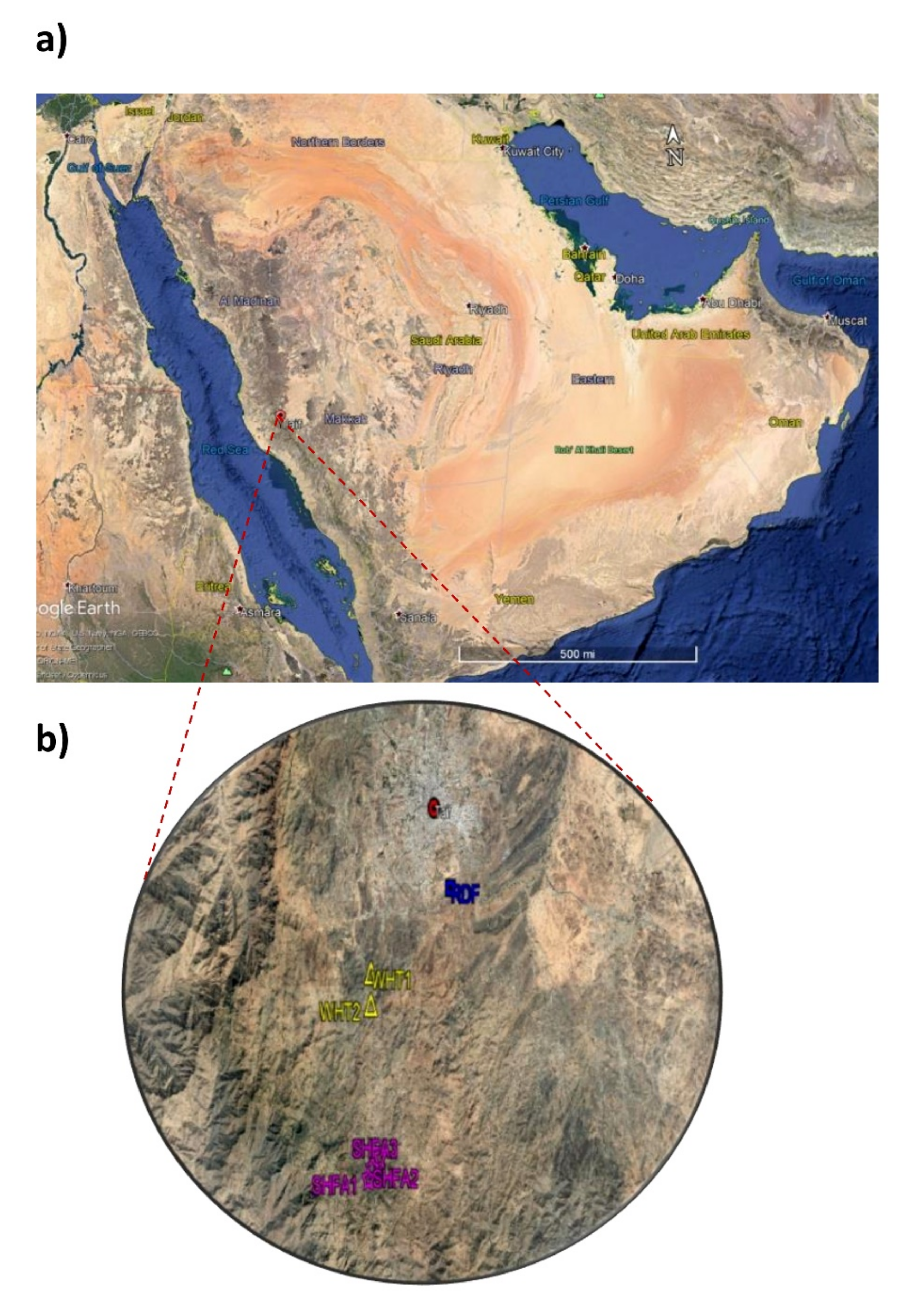 Plants 10 02587 g009 Plants 10 02587 g009