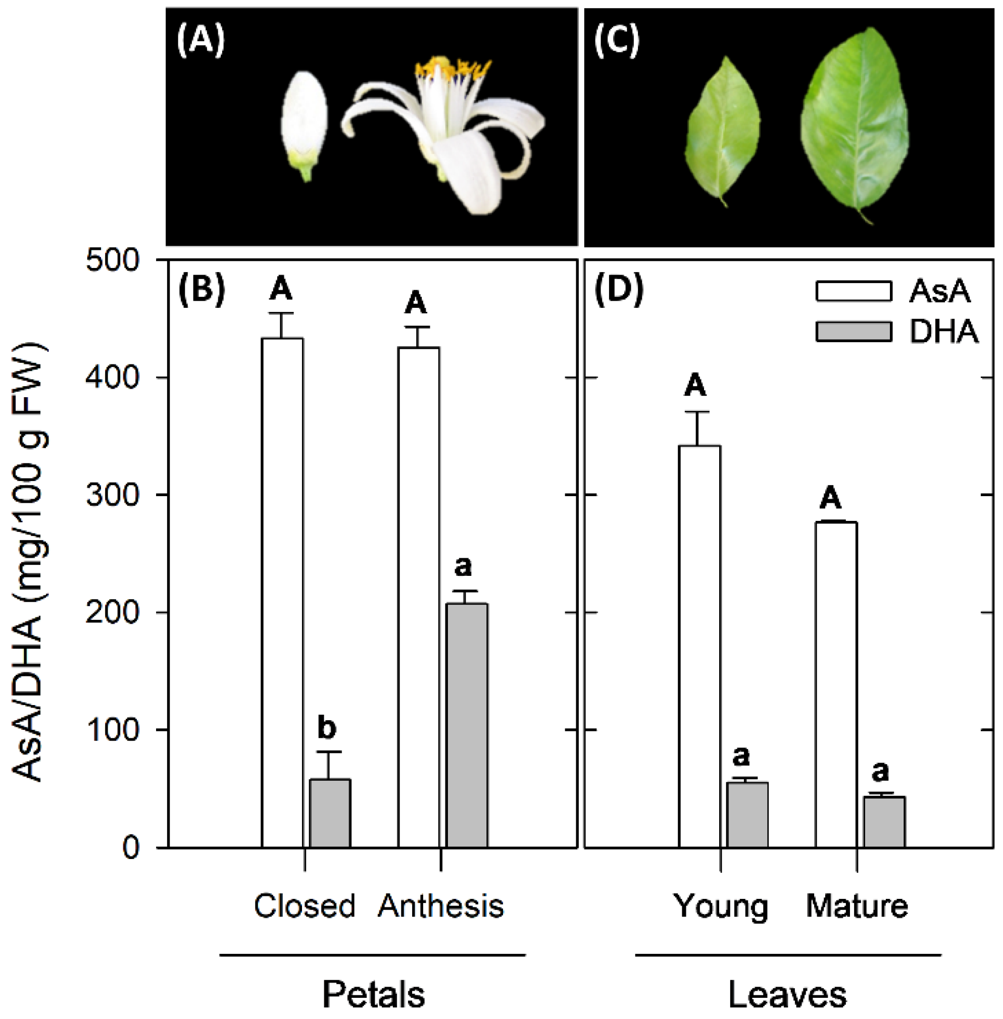 Plants 10 02590 g002 Plants 10 02590 g002