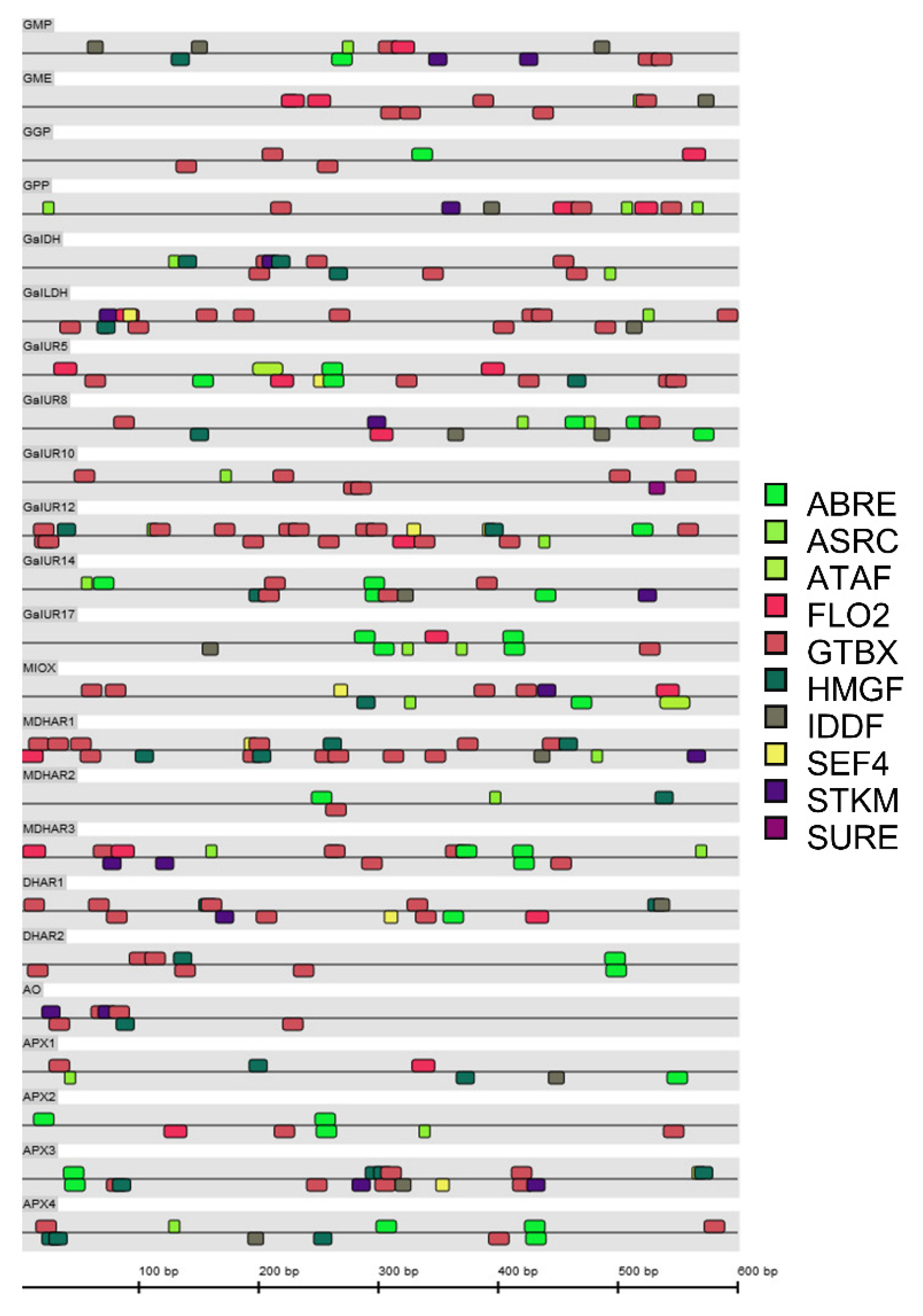 Plants 10 02590 g009 Plants 10 02590 g009