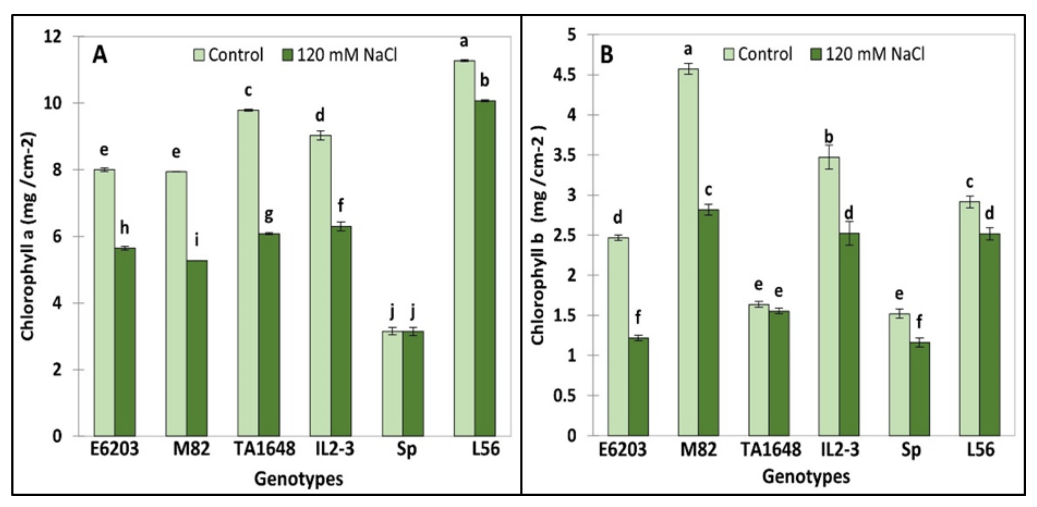 Plants 10 02594 g004 550