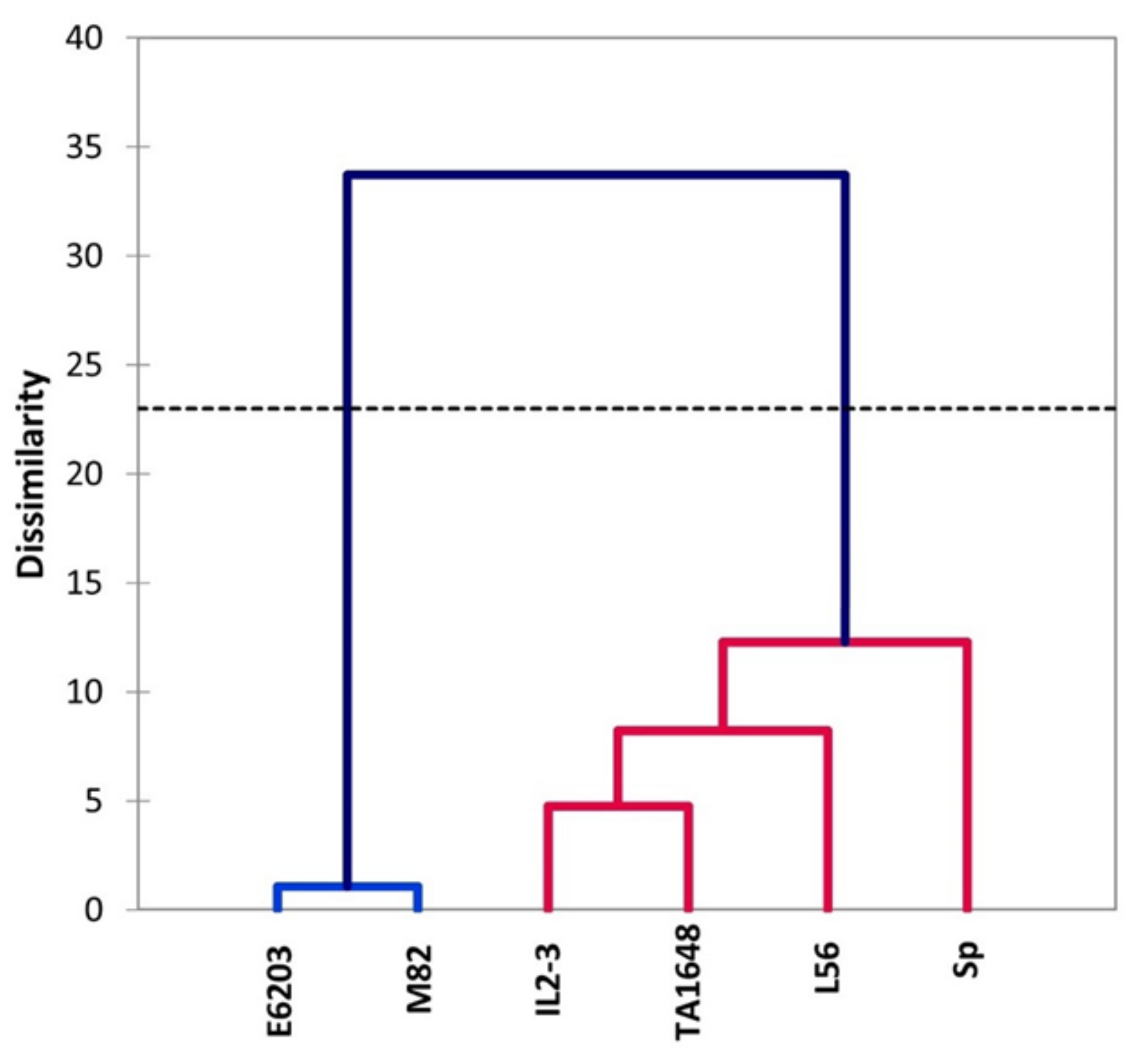 Plants 10 02594 g007 550