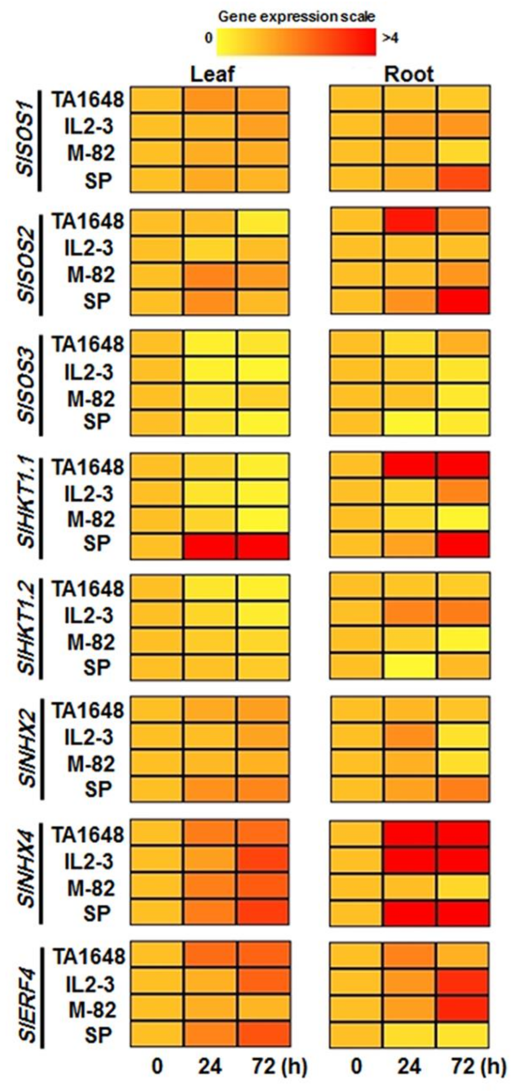 Plants 10 02594 g008 550