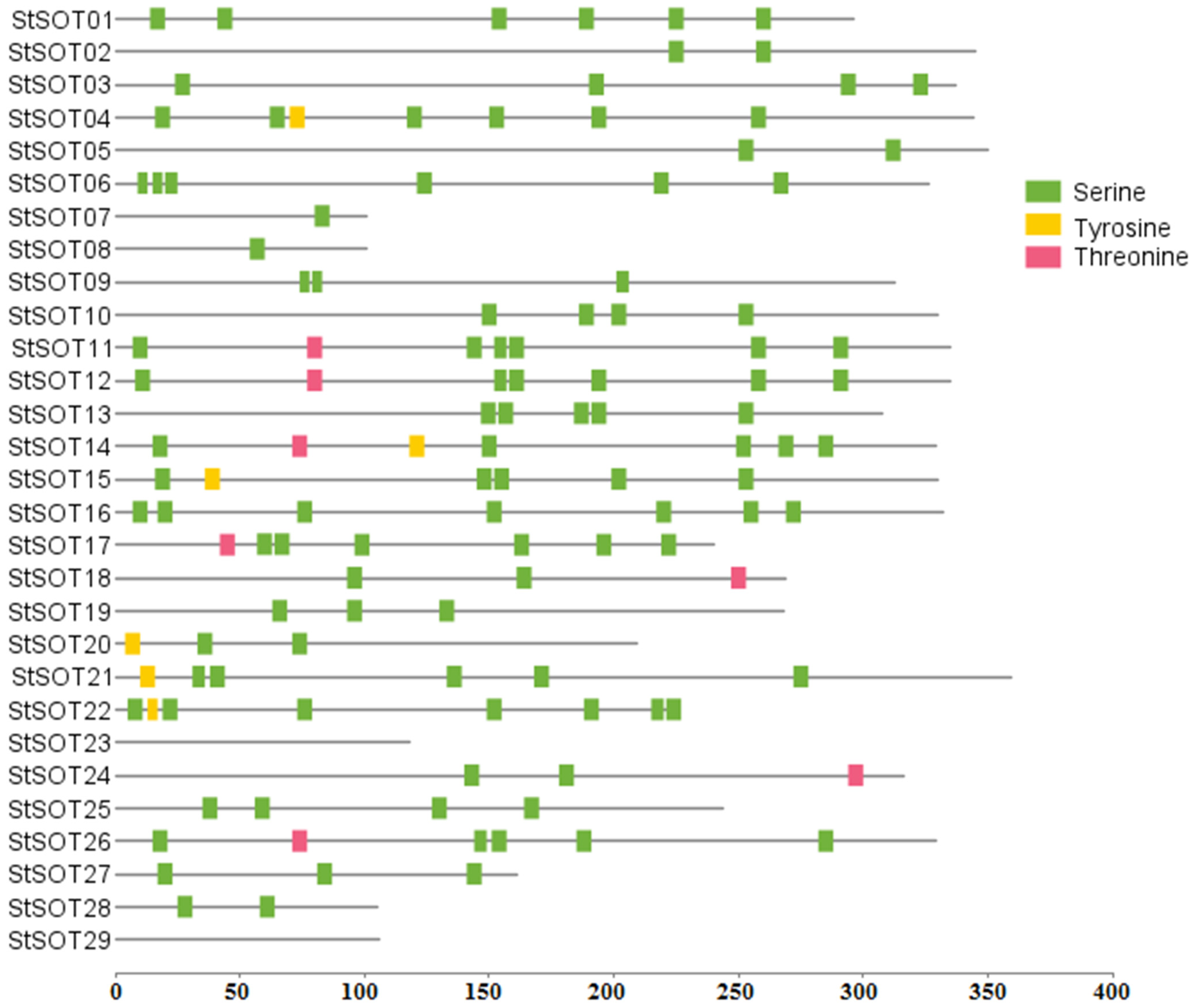 Plants 10 02597 g001 550