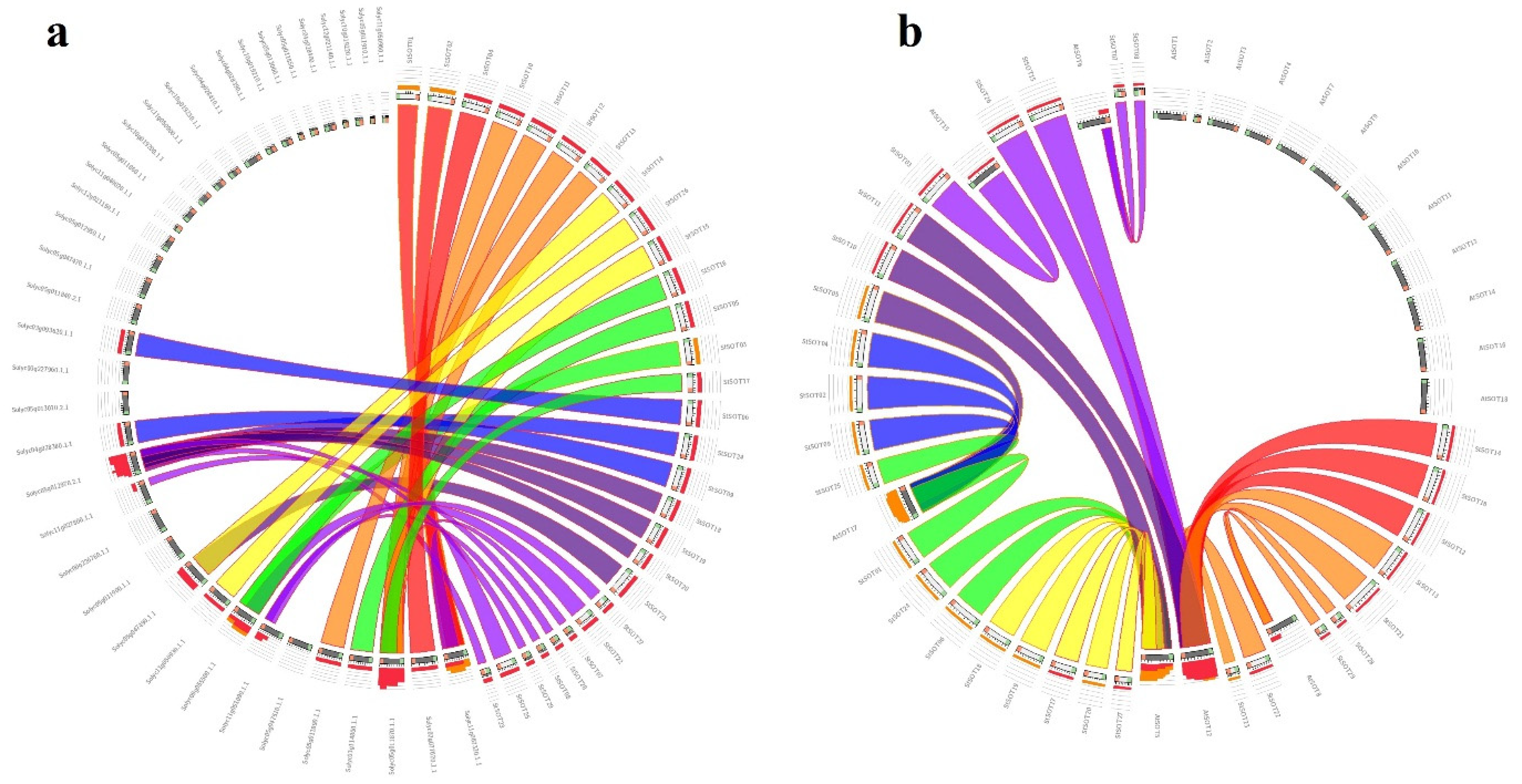 Plants 10 02597 g005 550