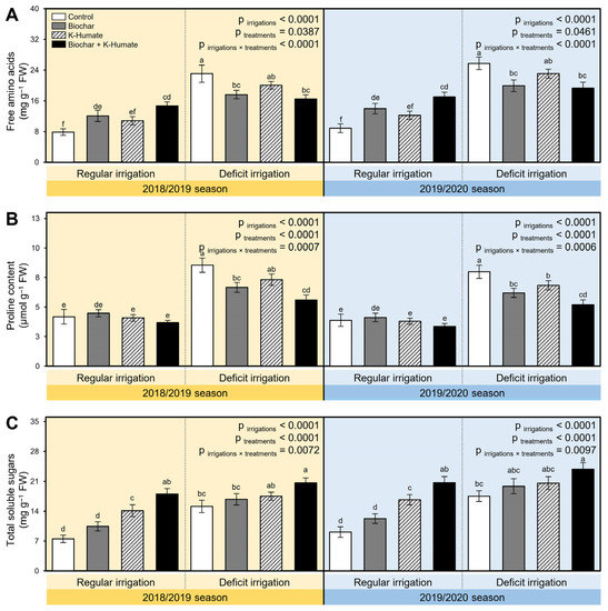 Plants Free Full Text Soil Amendment Using Biochar And Application Of K Humate Enhance The Growth Productivity And Nutritional Value Of Onion Allium Cepa L Under Deficit Irrigation Conditions Html