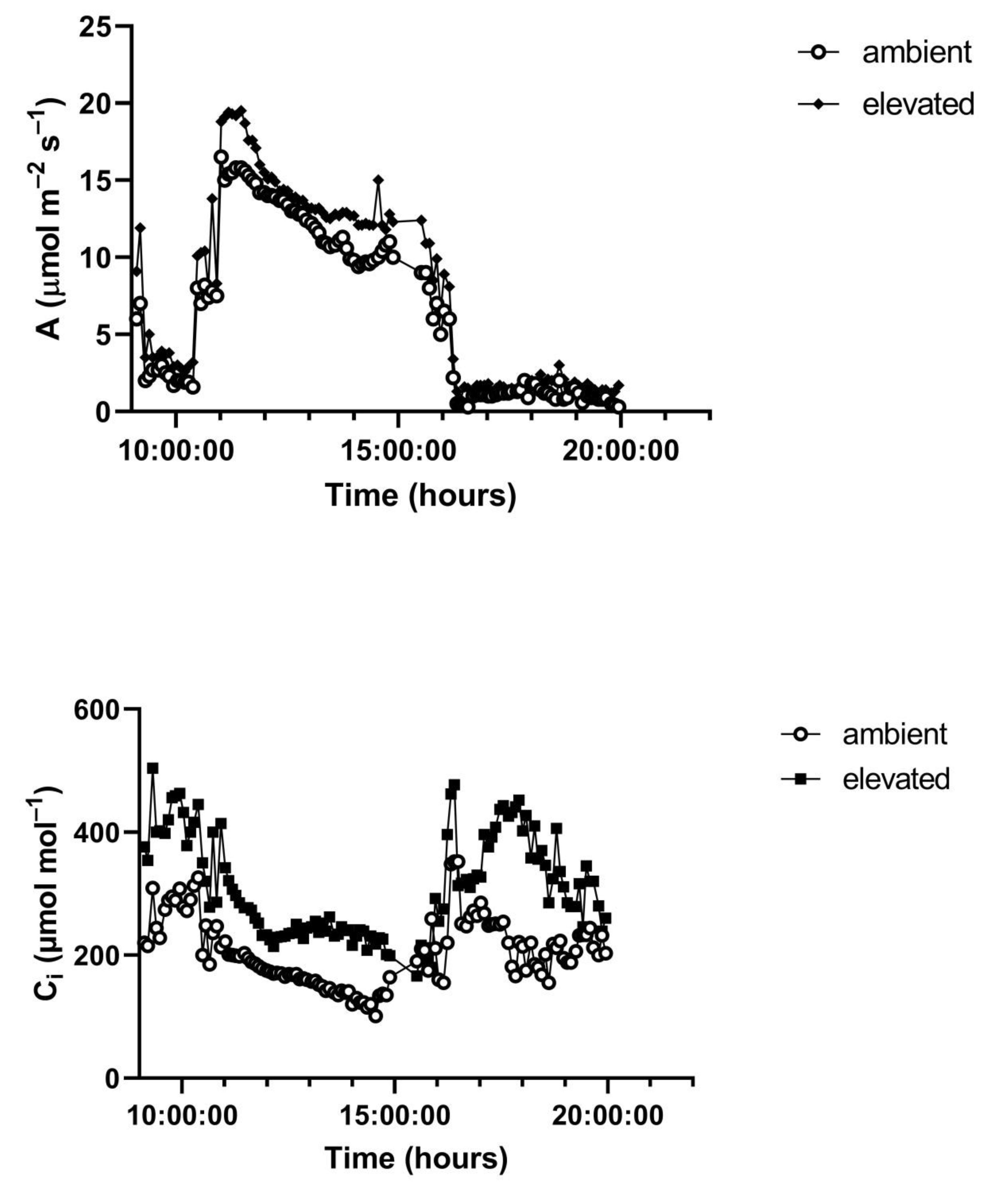 Plants 10 02603 g004b 550