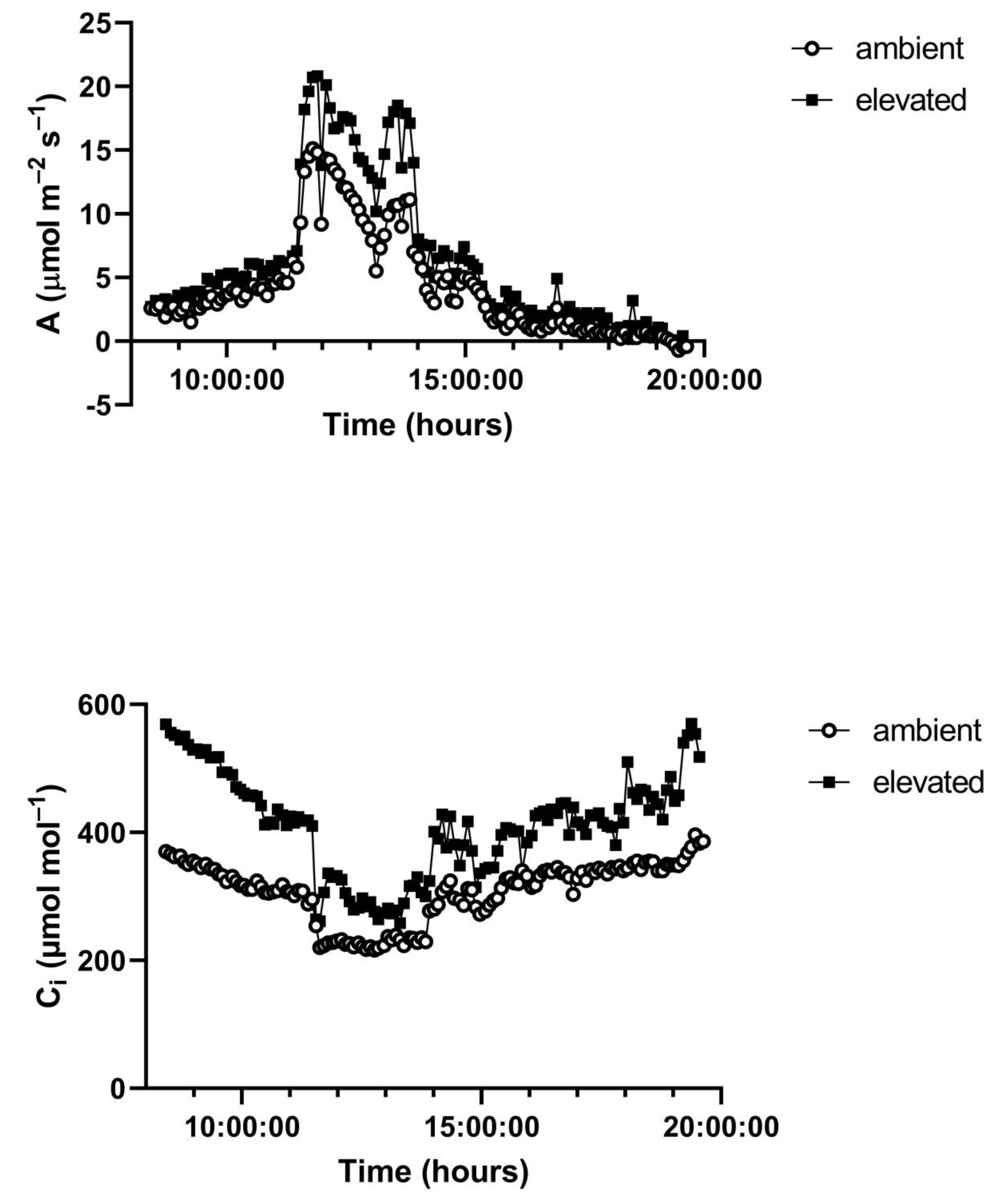 Plants 10 02603 g005b 550