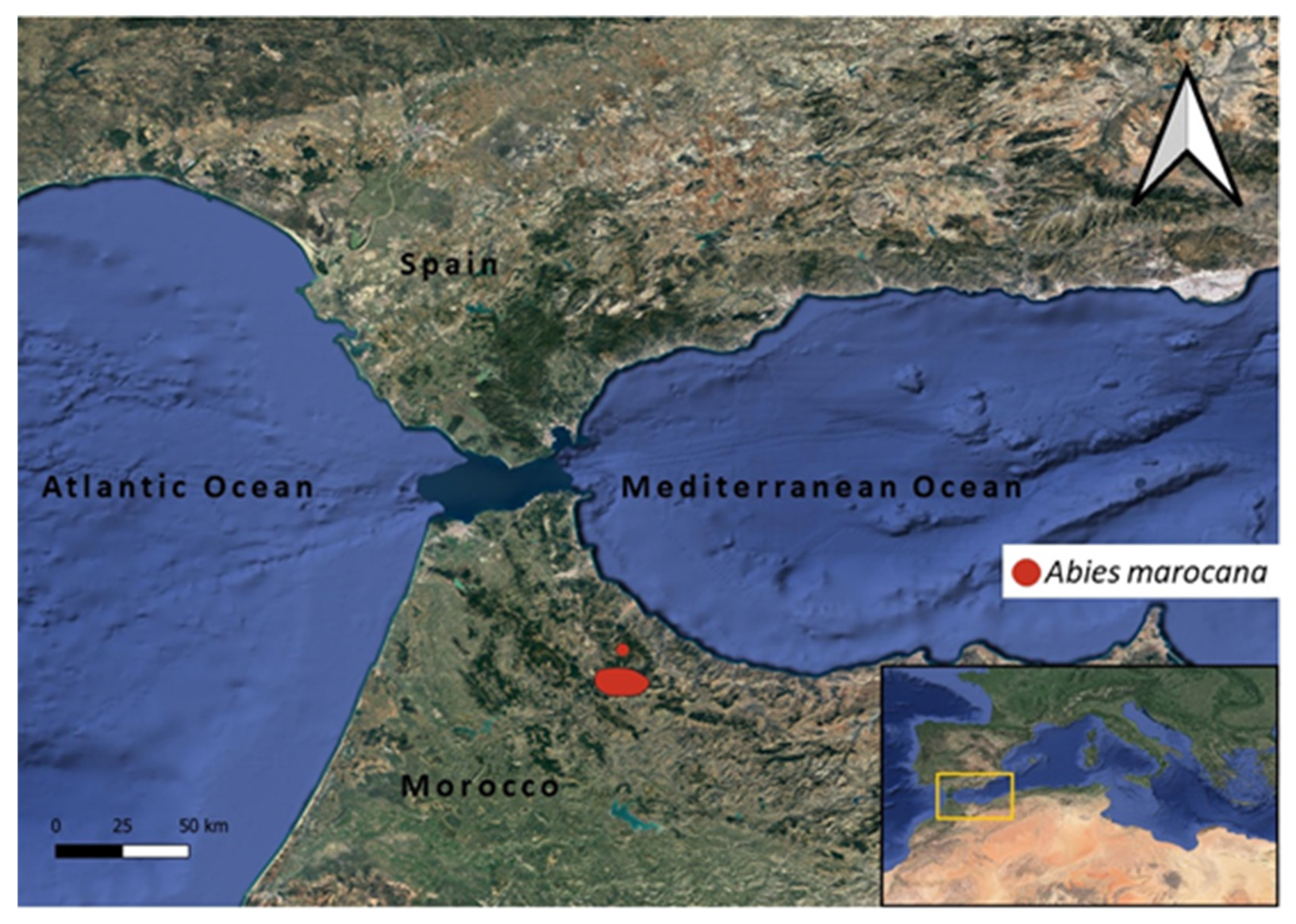 Plants 10 02606 g005 550