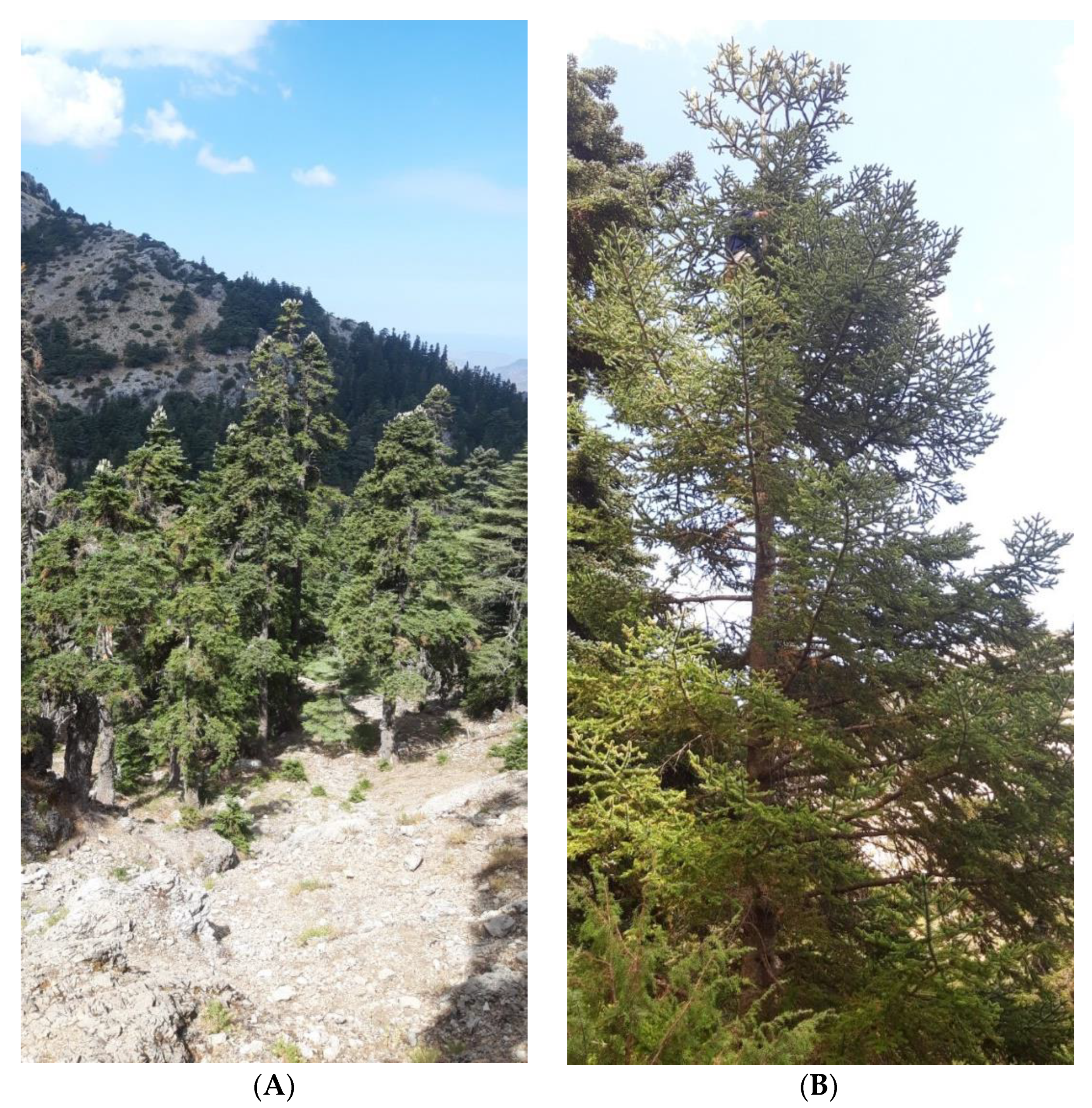 Plants 10 02606 g006a 550