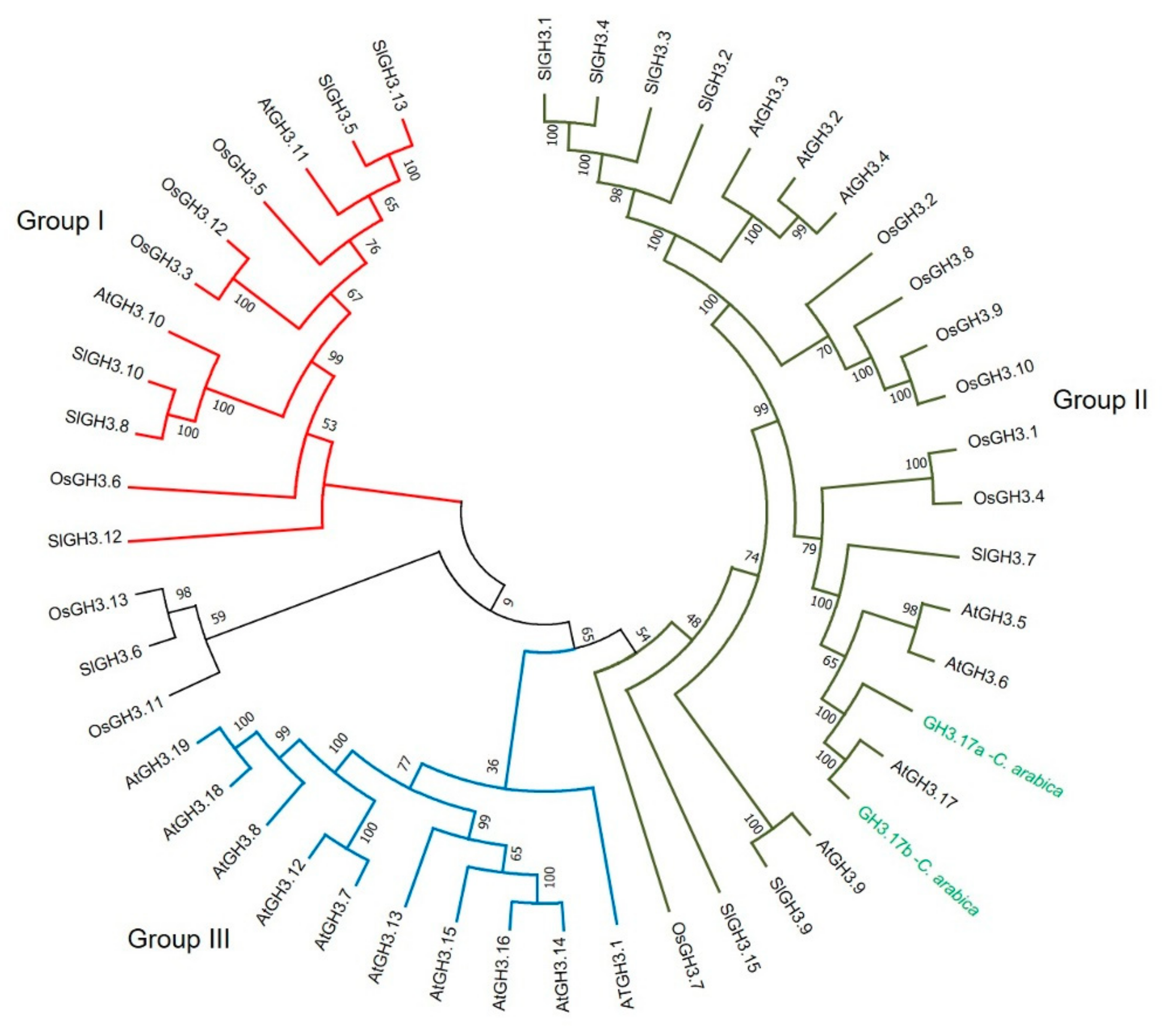 Plants 10 02607 g008 Plants 10 02607 g008