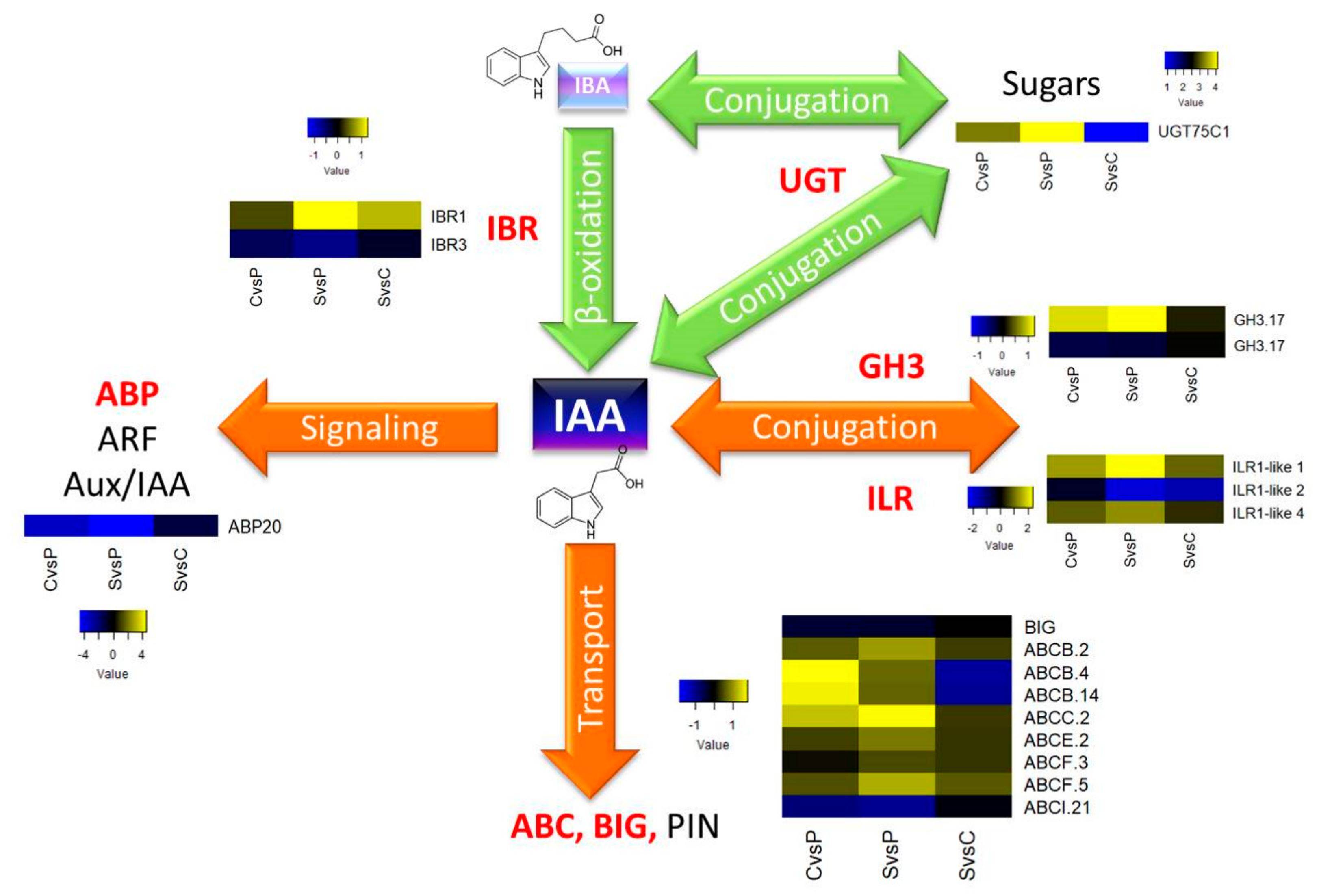 Plants 10 02607 g011 Plants 10 02607 g011