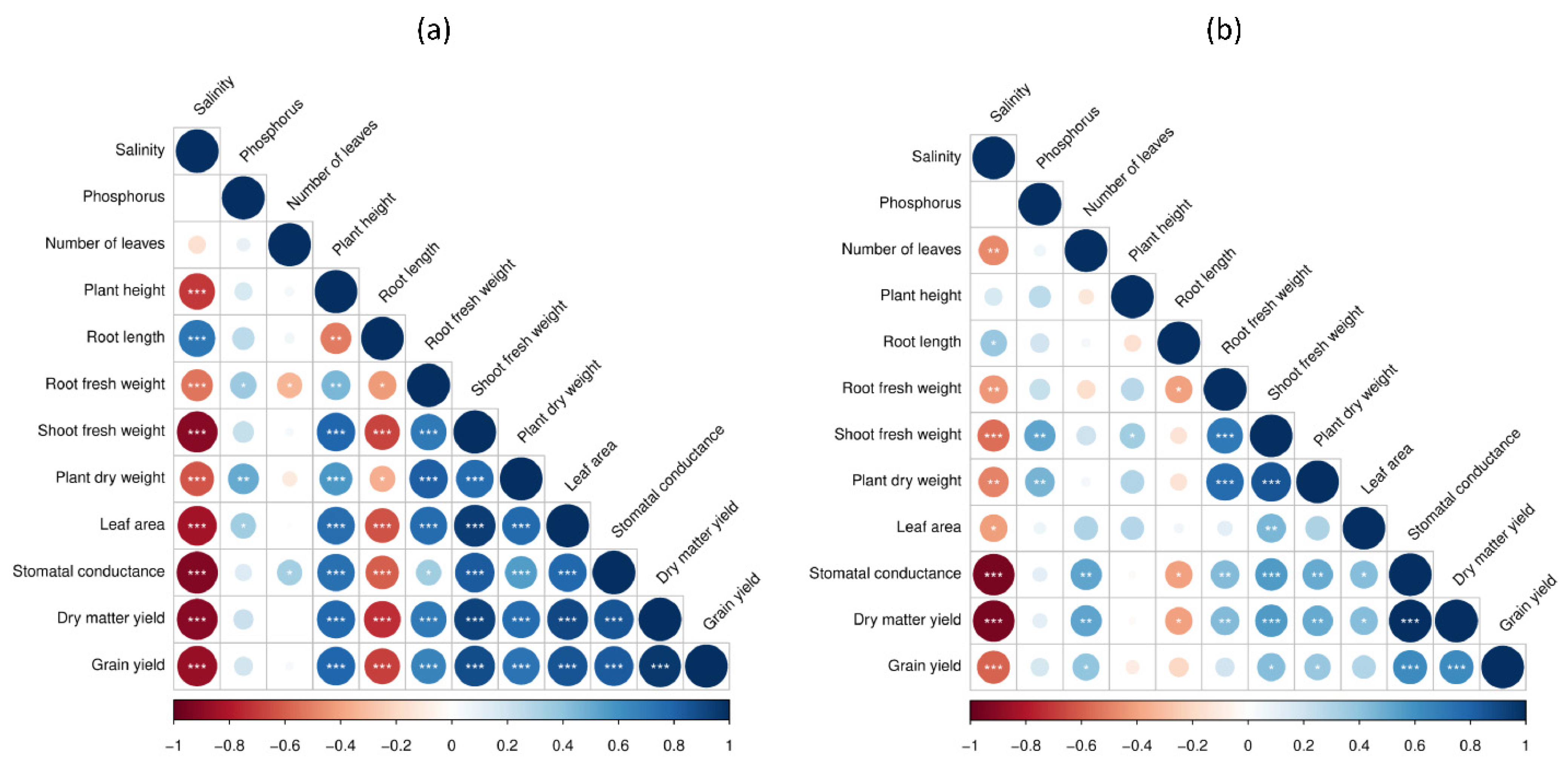 Plants 10 02608 g004