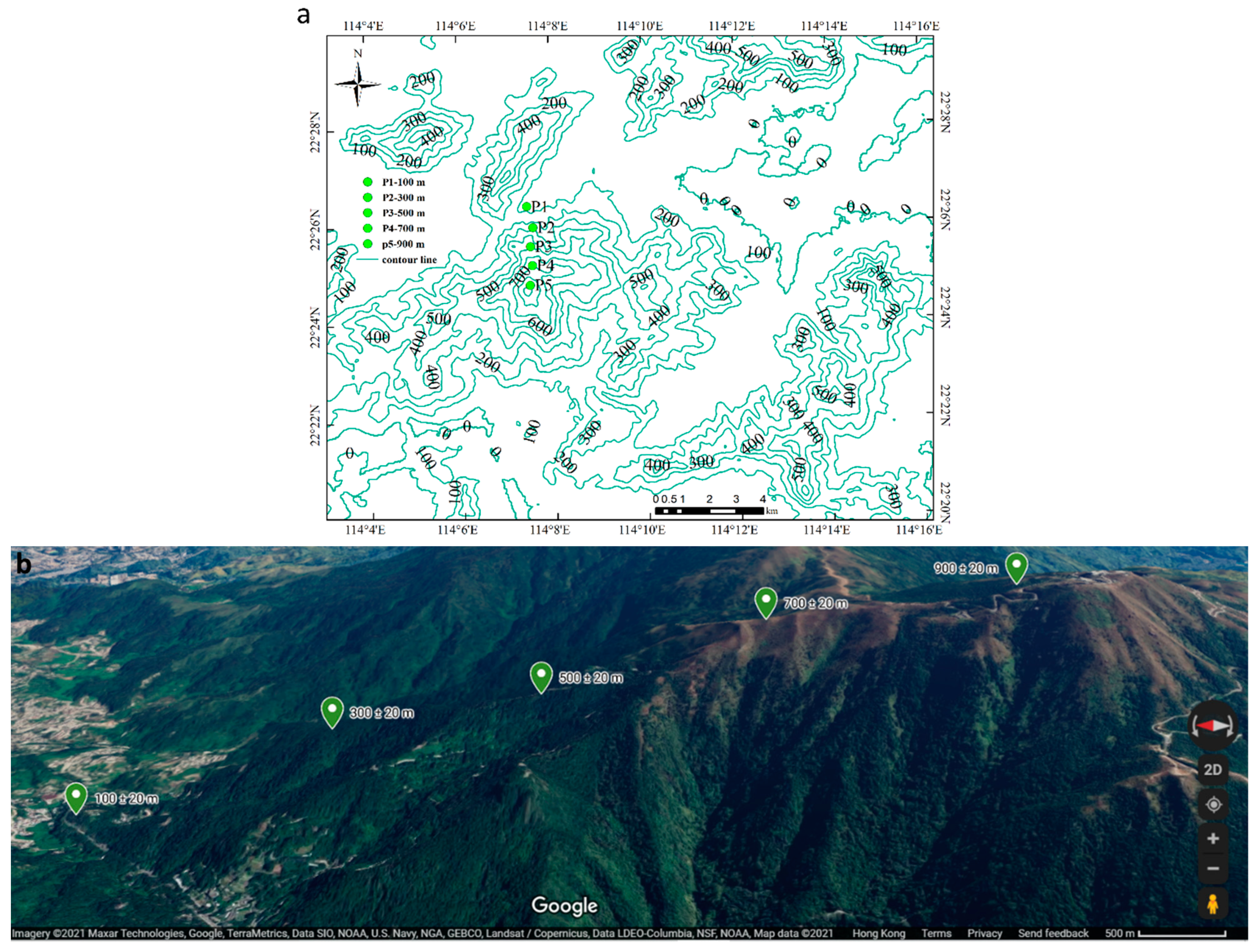 Plants 10 02613 g013