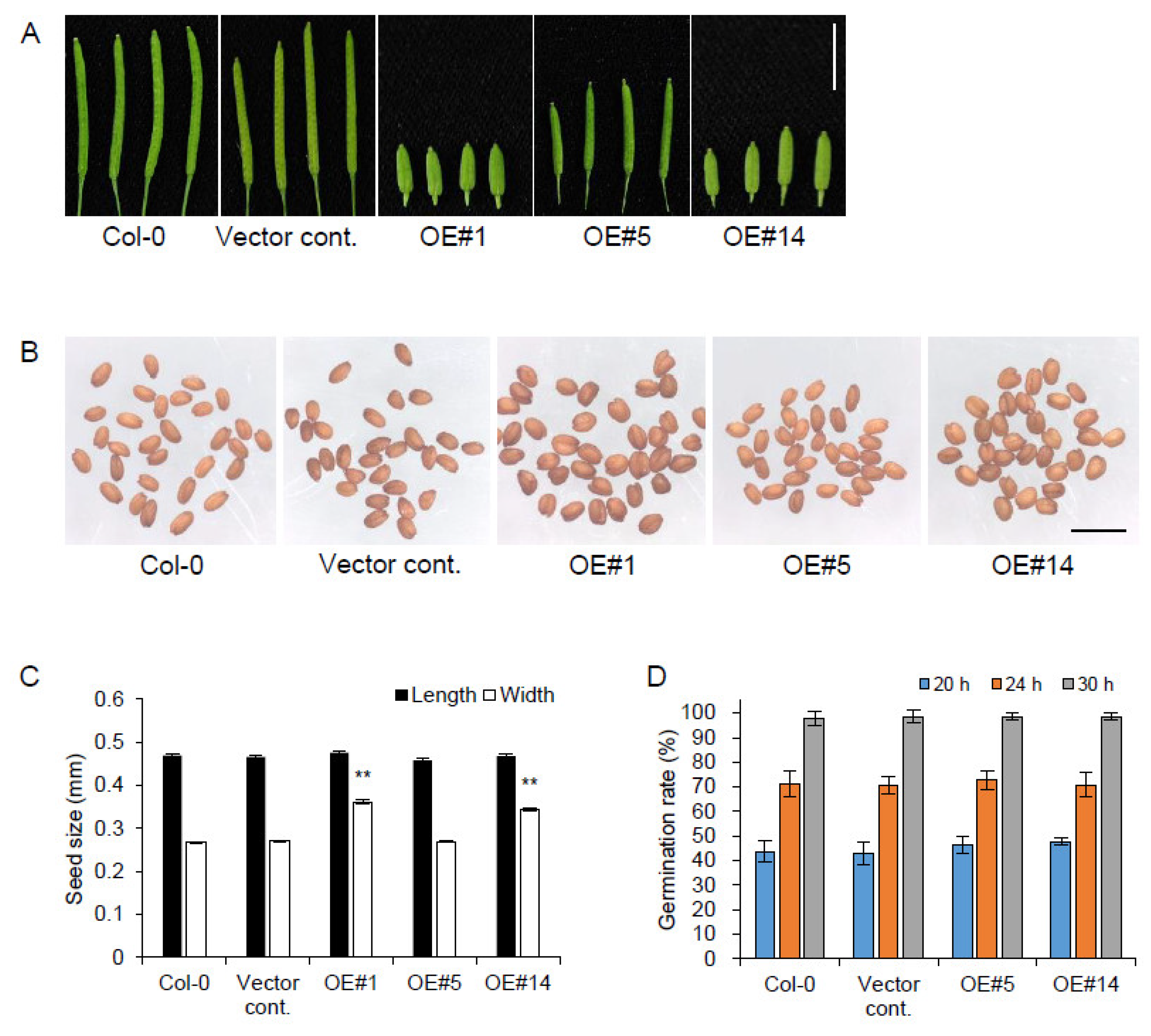 Plants 10 02615 g004 Plants 10 02615 g004