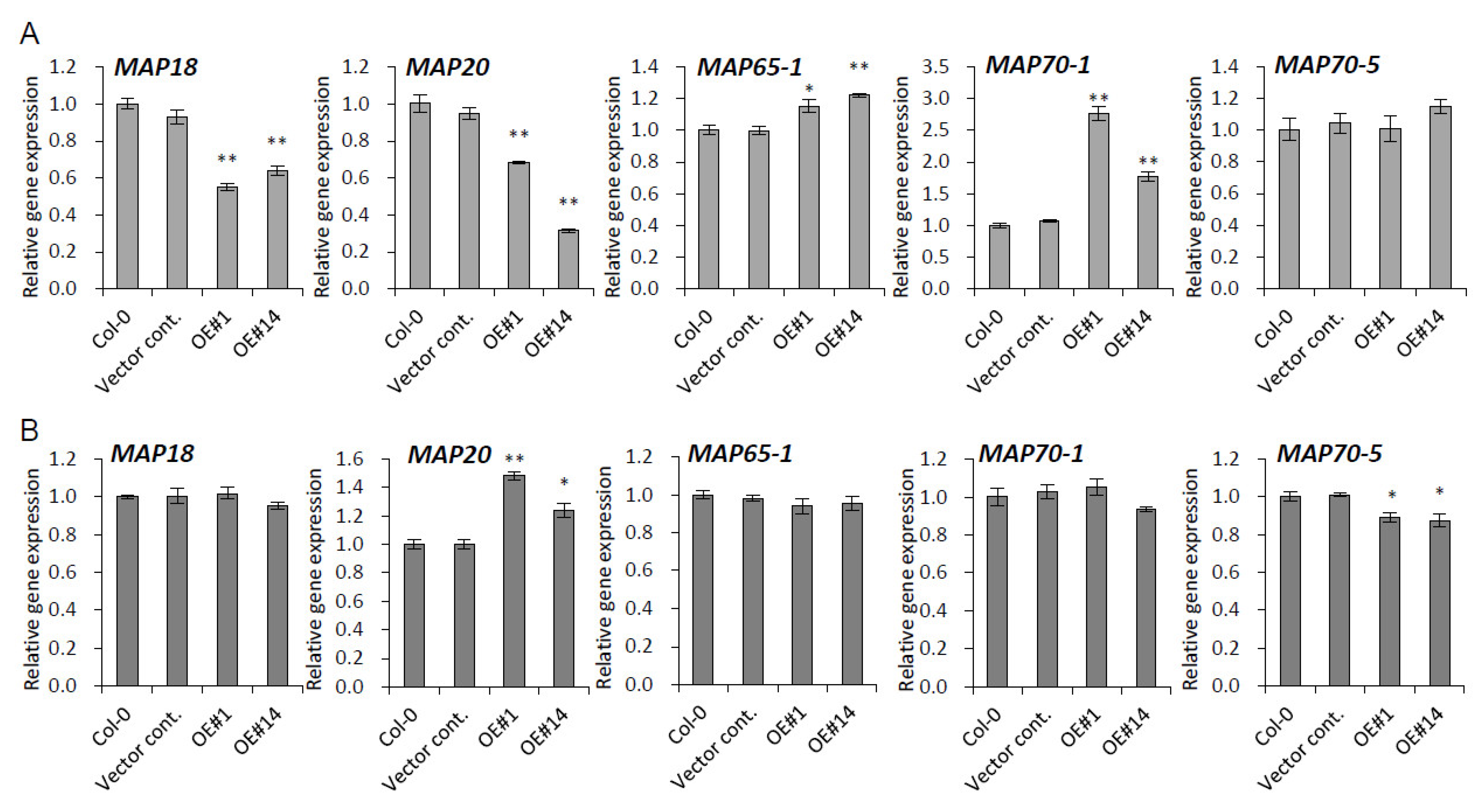 Plants 10 02615 g006 Plants 10 02615 g006