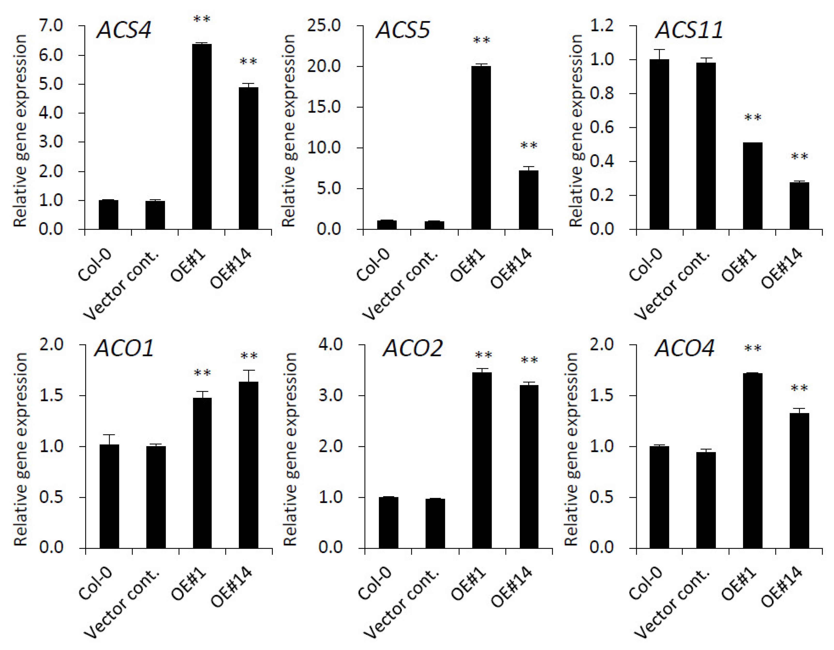 Plants 10 02615 g007 Plants 10 02615 g007
