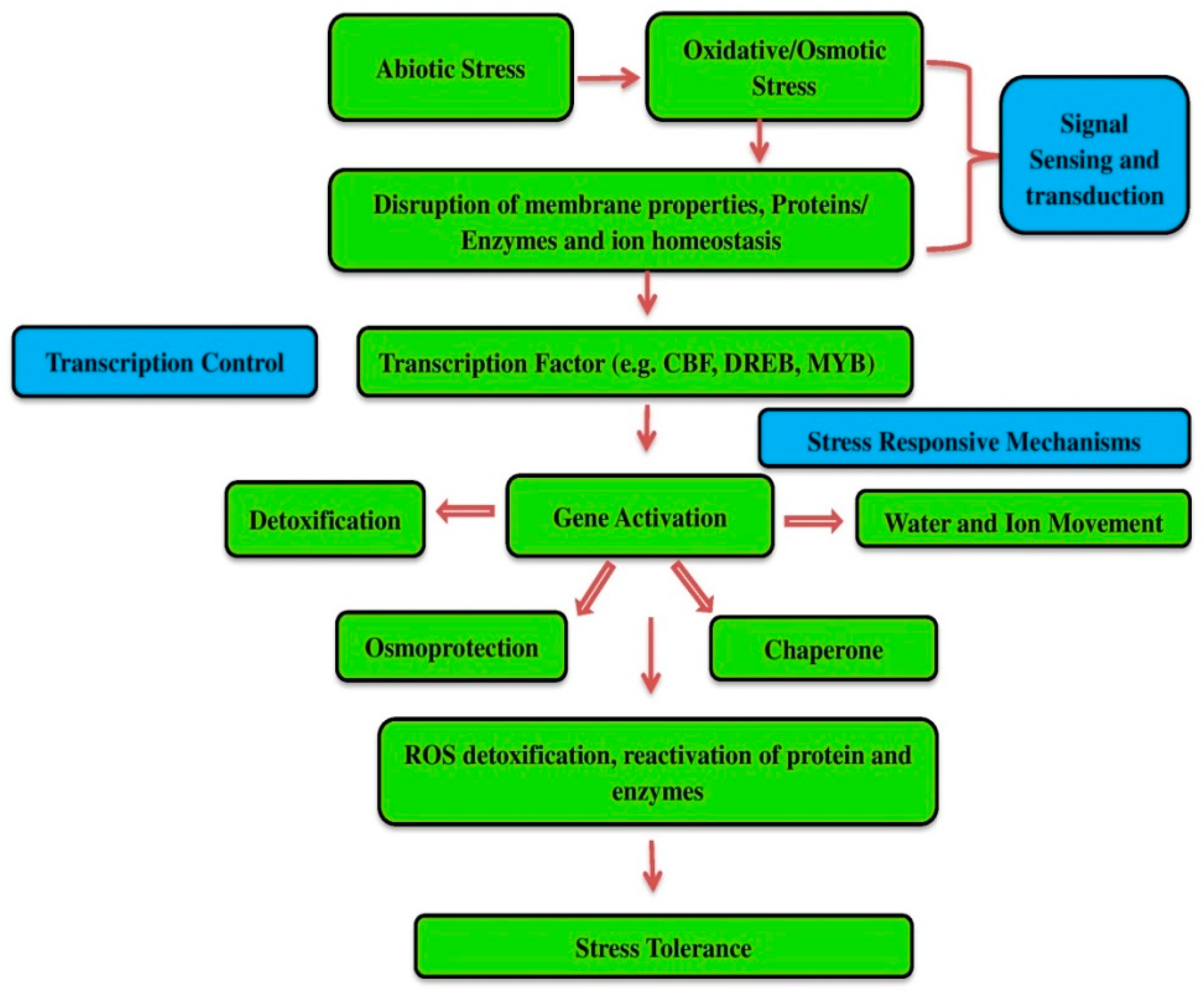 Plants 10 02622 g001 Plants 10 02622 g001