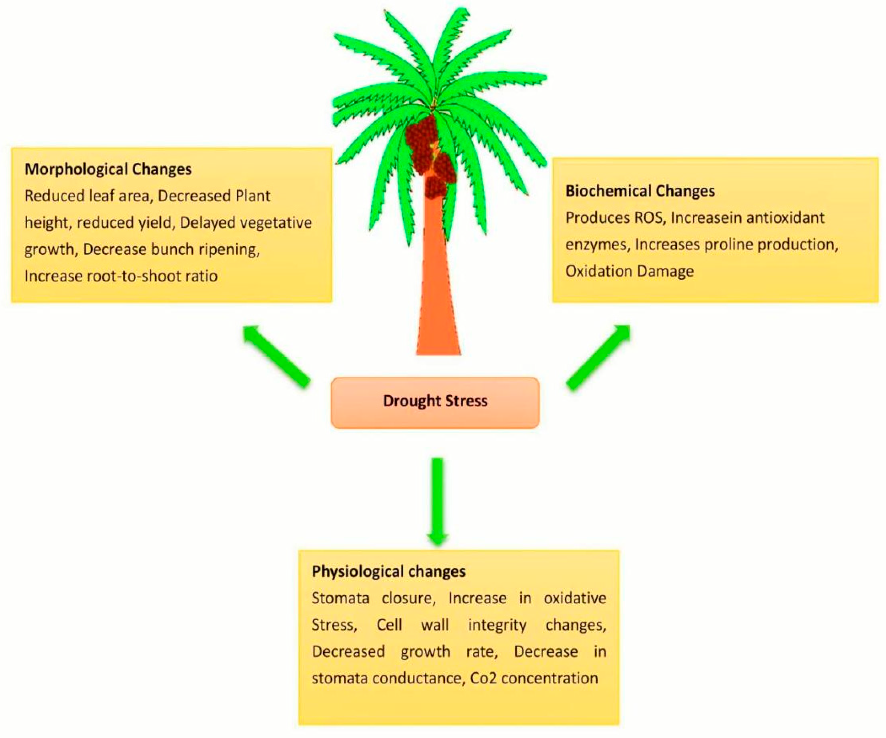 Plants 10 02622 g002 Plants 10 02622 g002