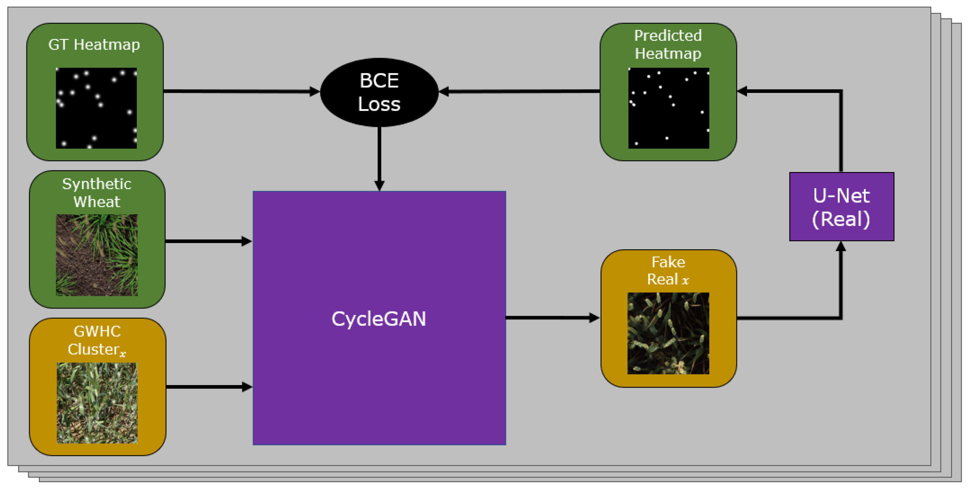 Plants 10 02633 g002 550