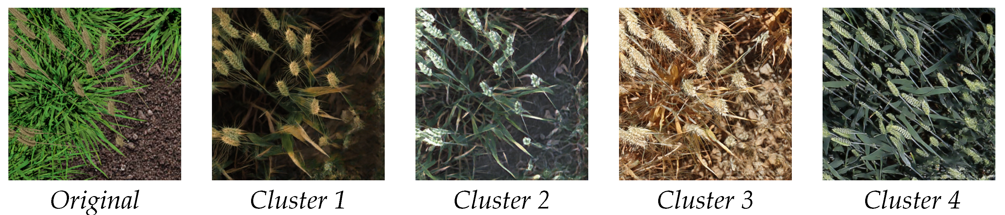 Plants 10 02633 g004 550