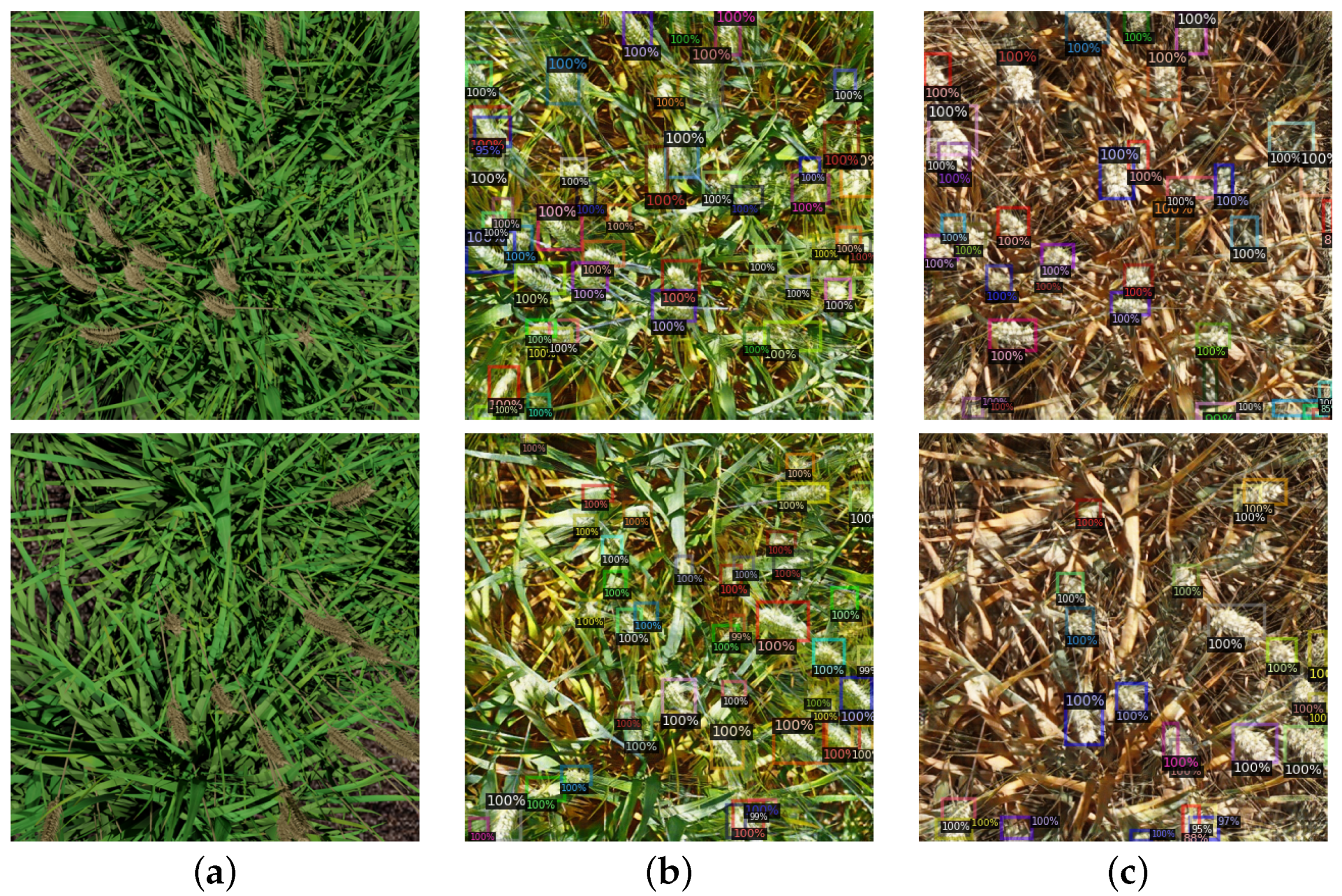 Plants 10 02633 g005 550