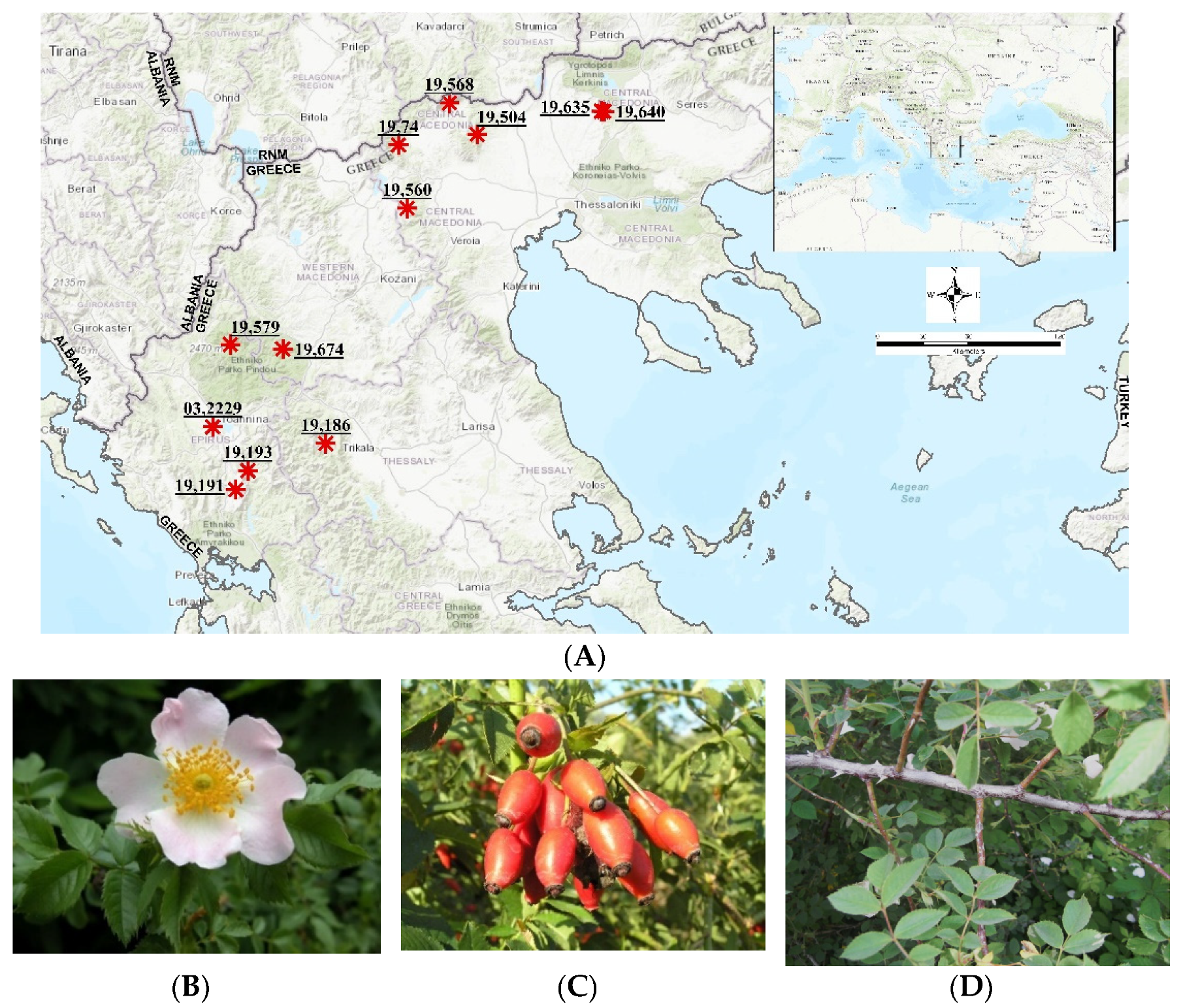 Plants 10 02634 g003