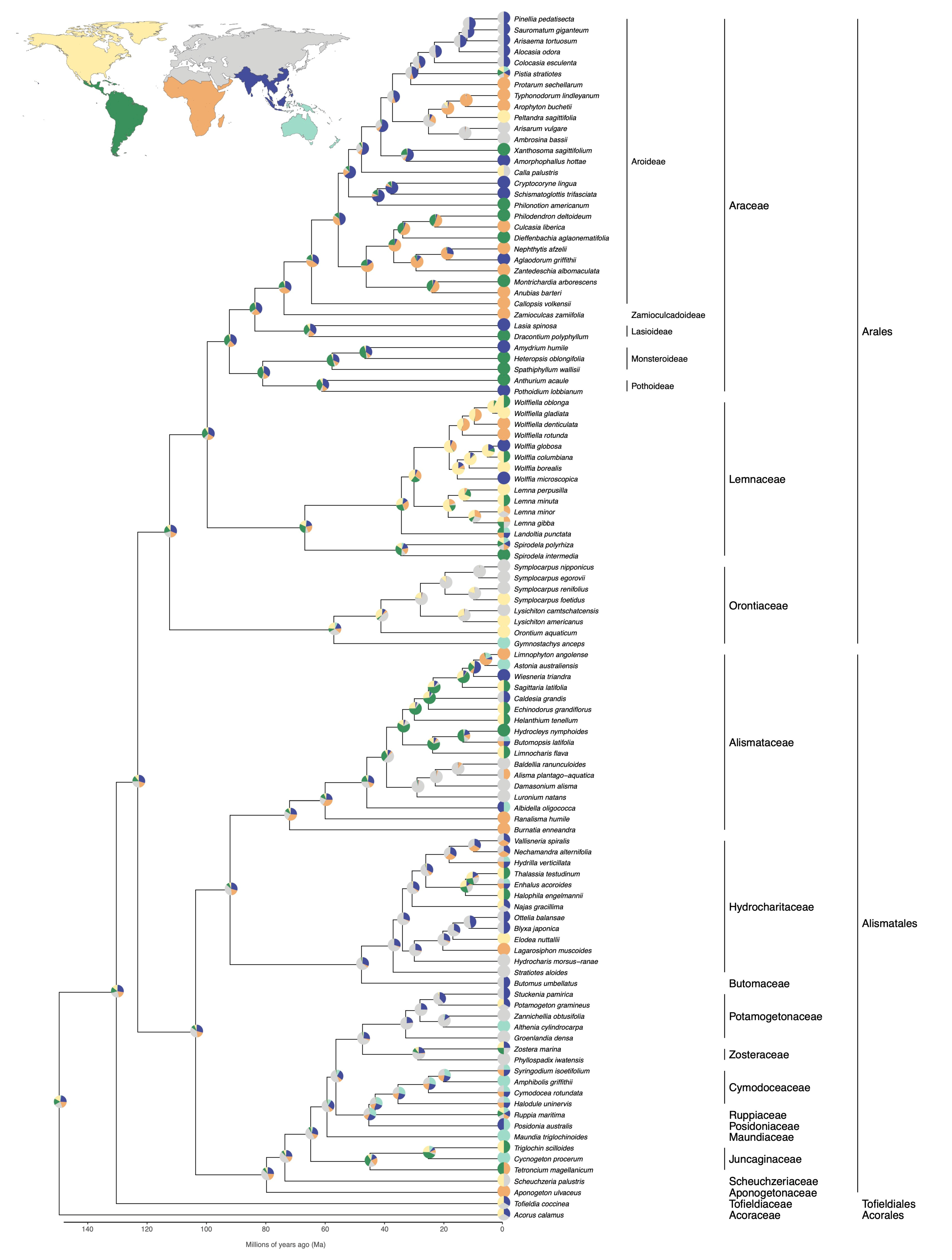 Plants 10 02639 g002 Plants 10 02639 g002