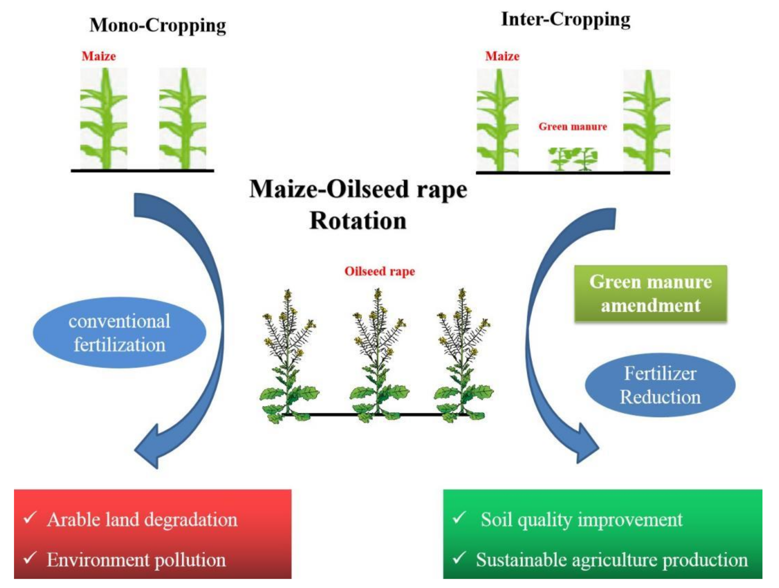 Plants 10 02640 g001