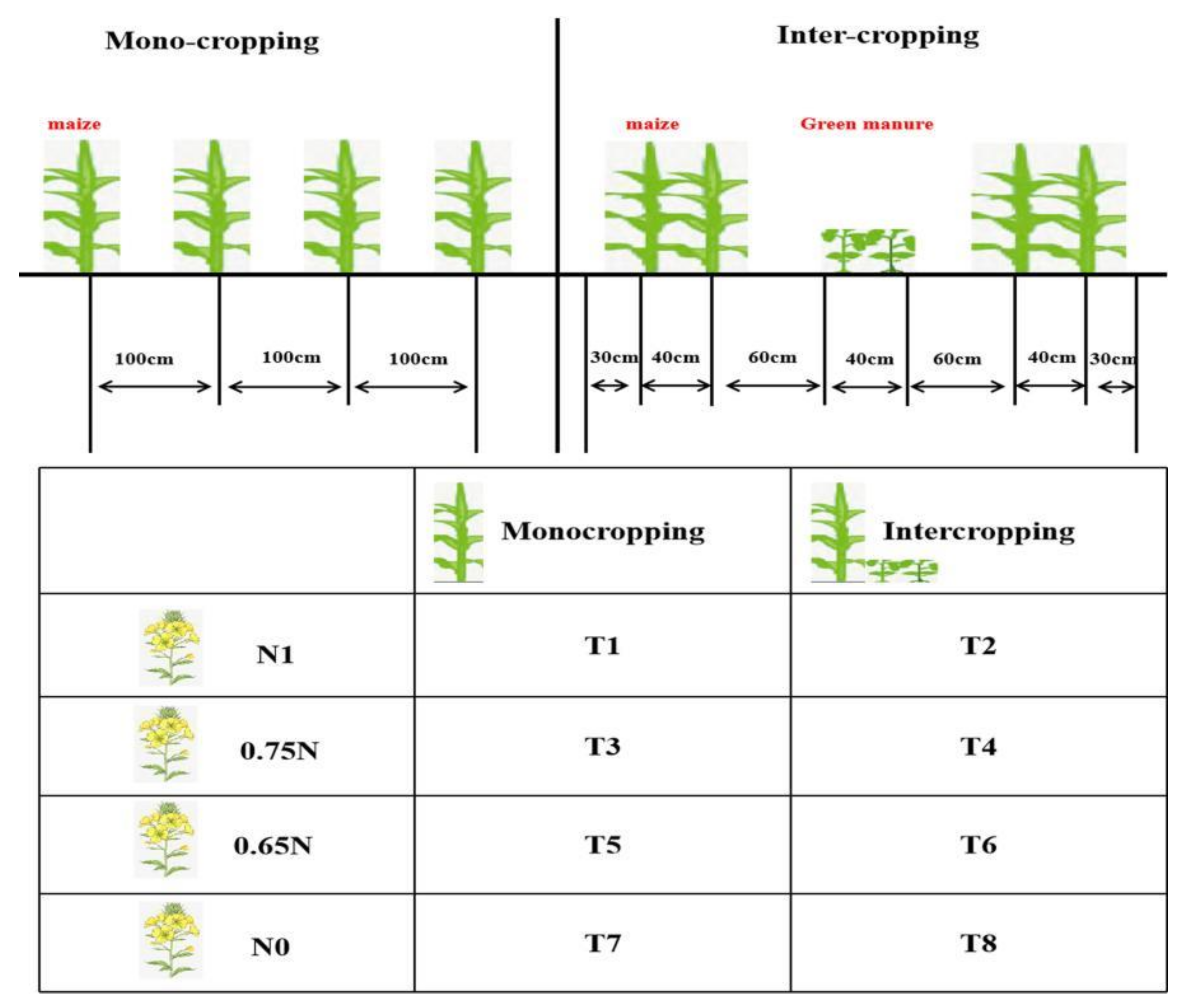 Plants 10 02640 g005