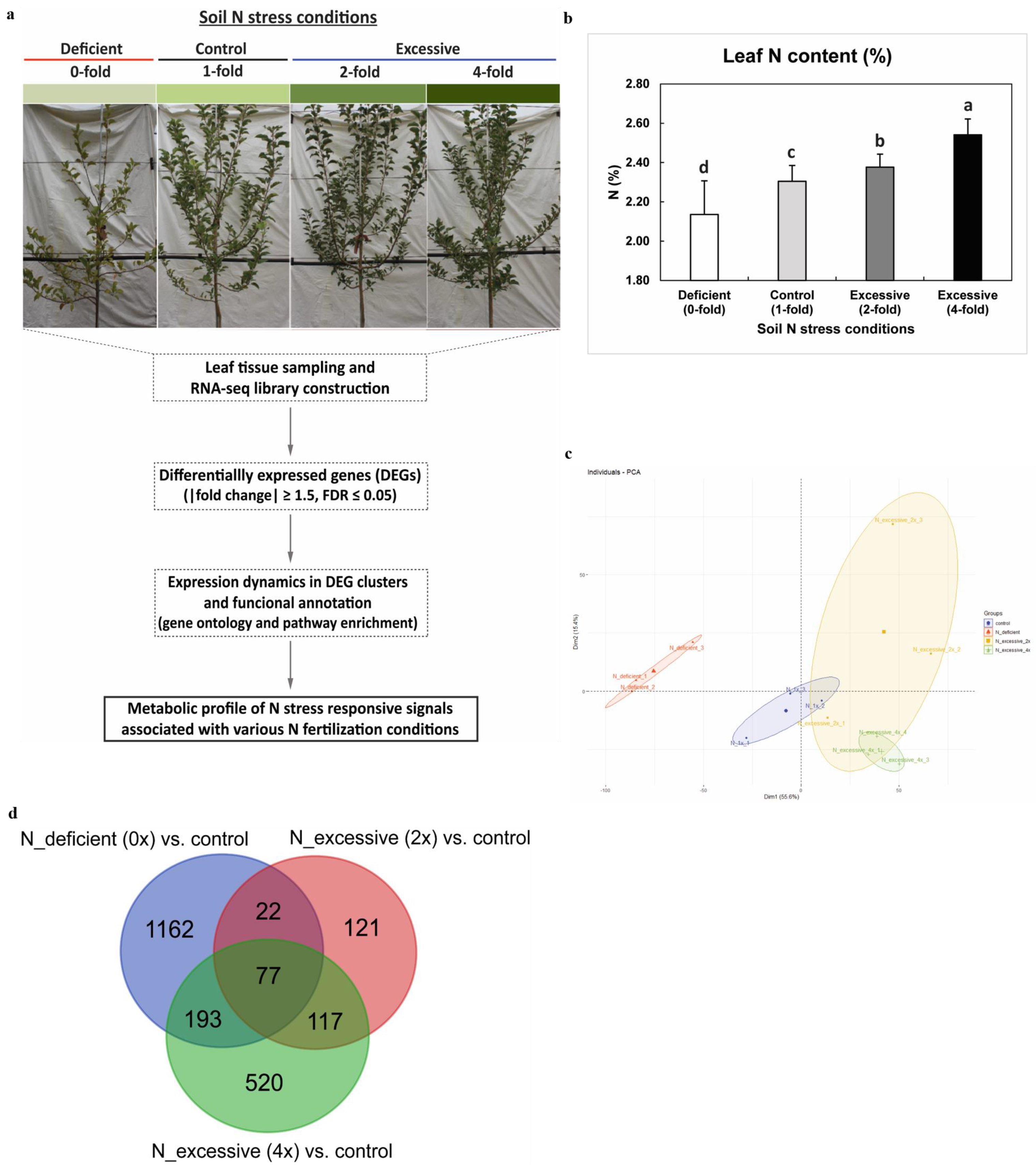 Plants 10 02649 g001 550
