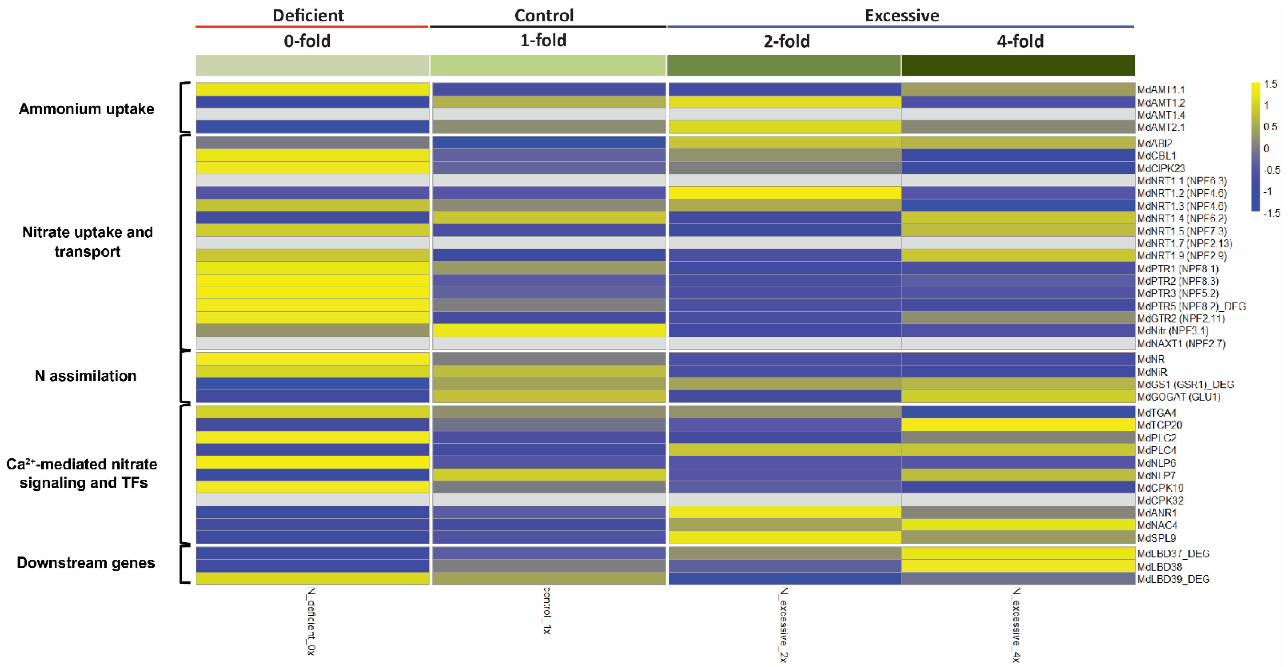 Plants 10 02649 g002 550