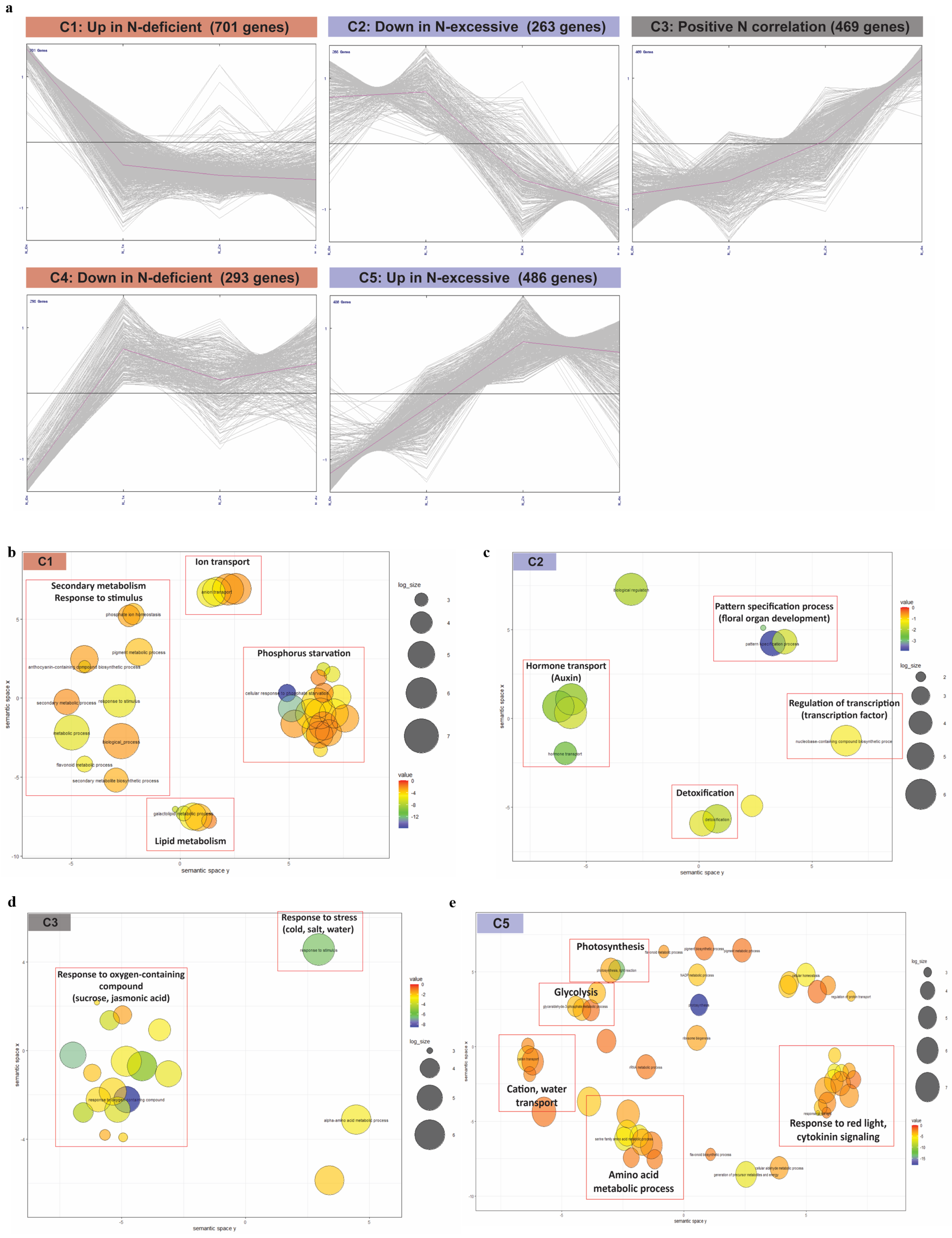Plants 10 02649 g003 550