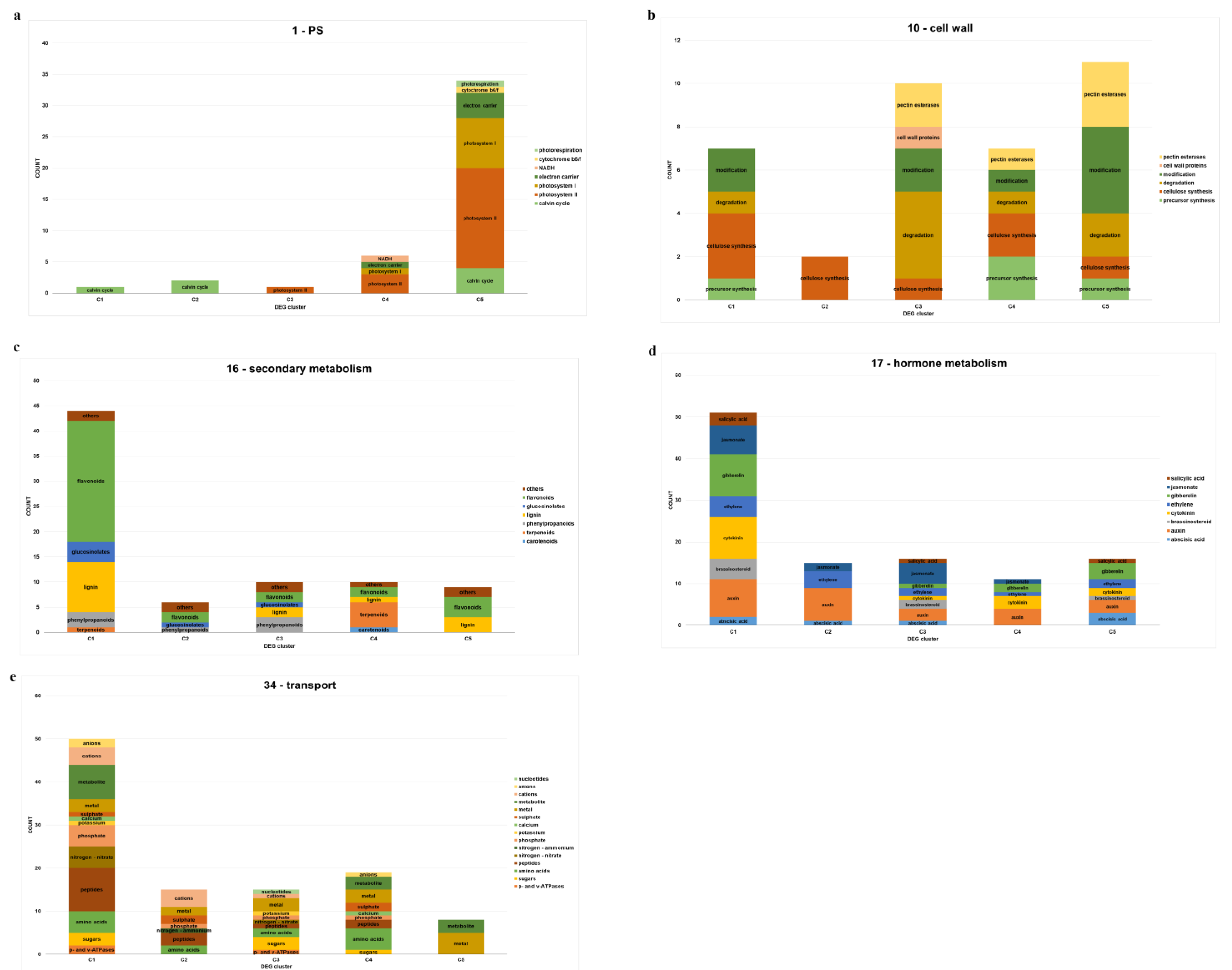 Plants 10 02649 g004 550