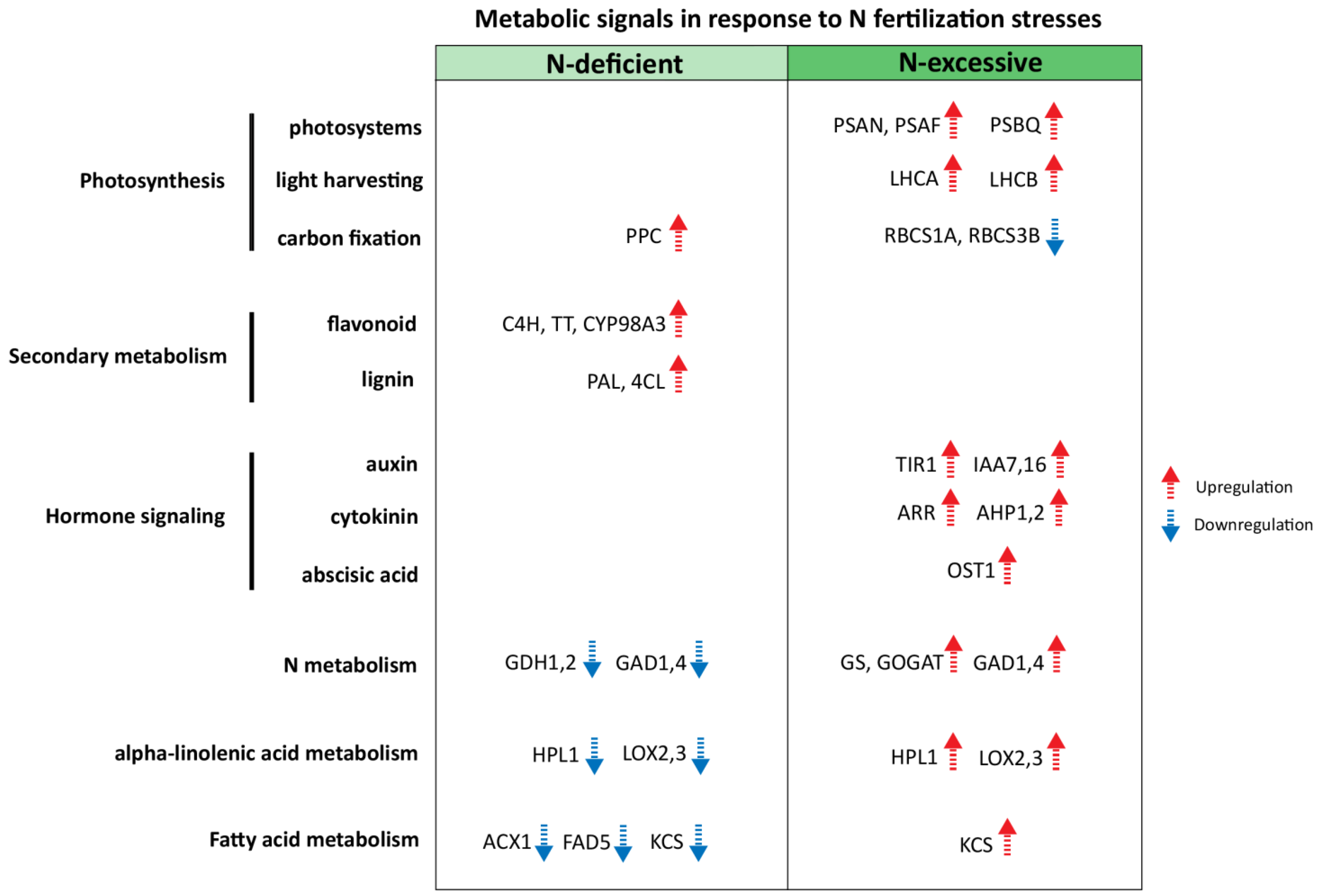 Plants 10 02649 g005 550