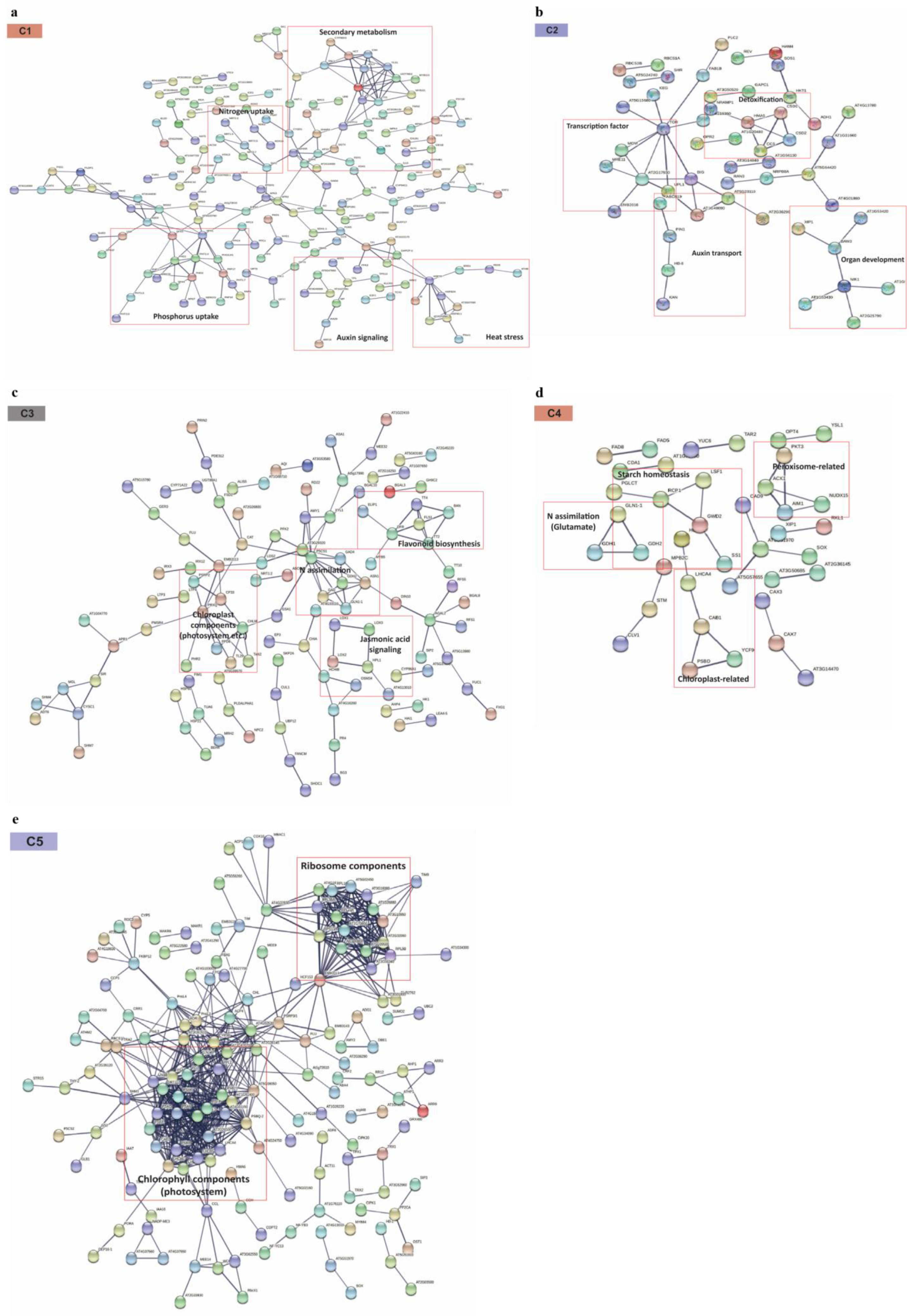 Plants 10 02649 g006 550