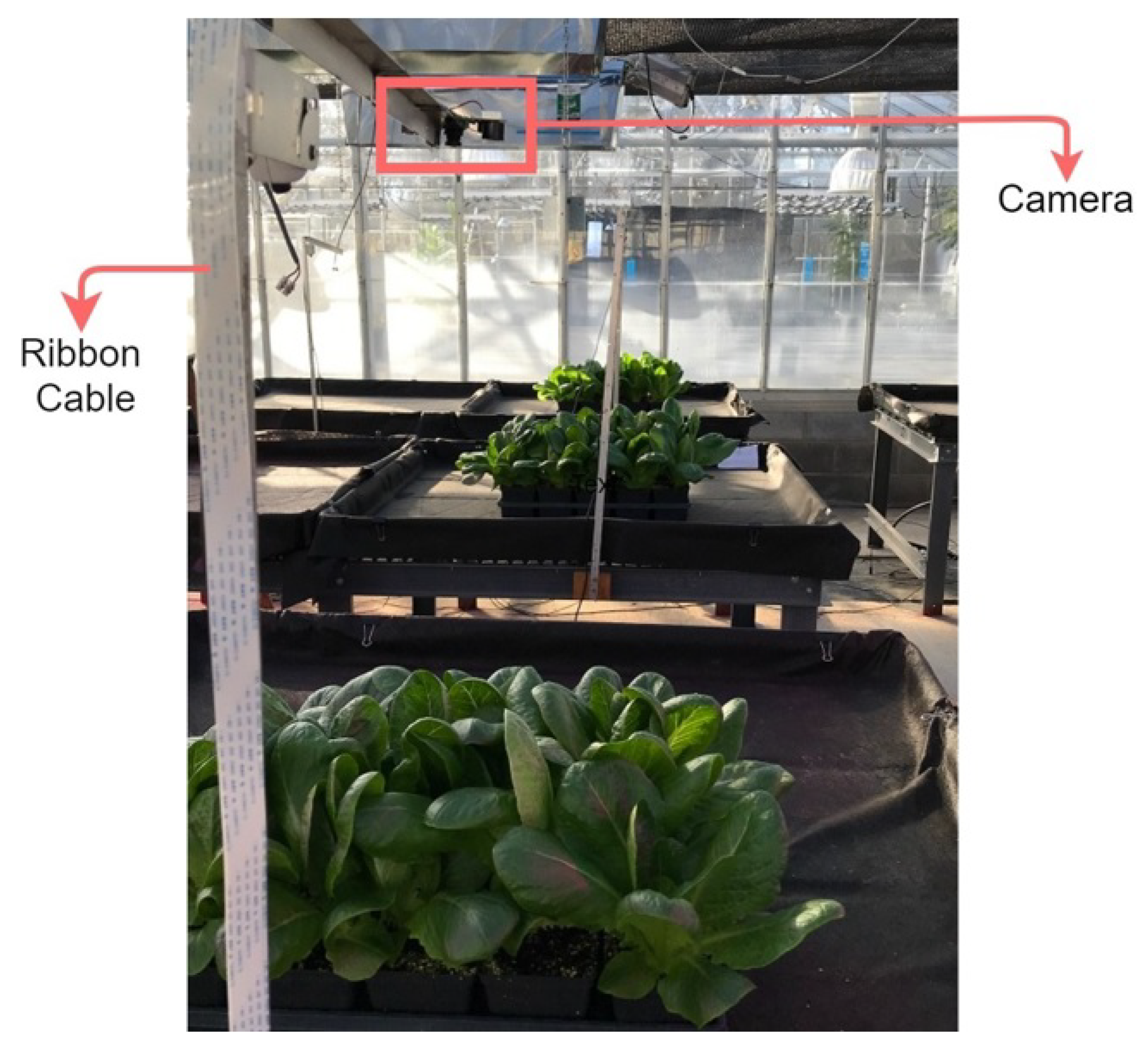 Plants 10 02652 g001 550