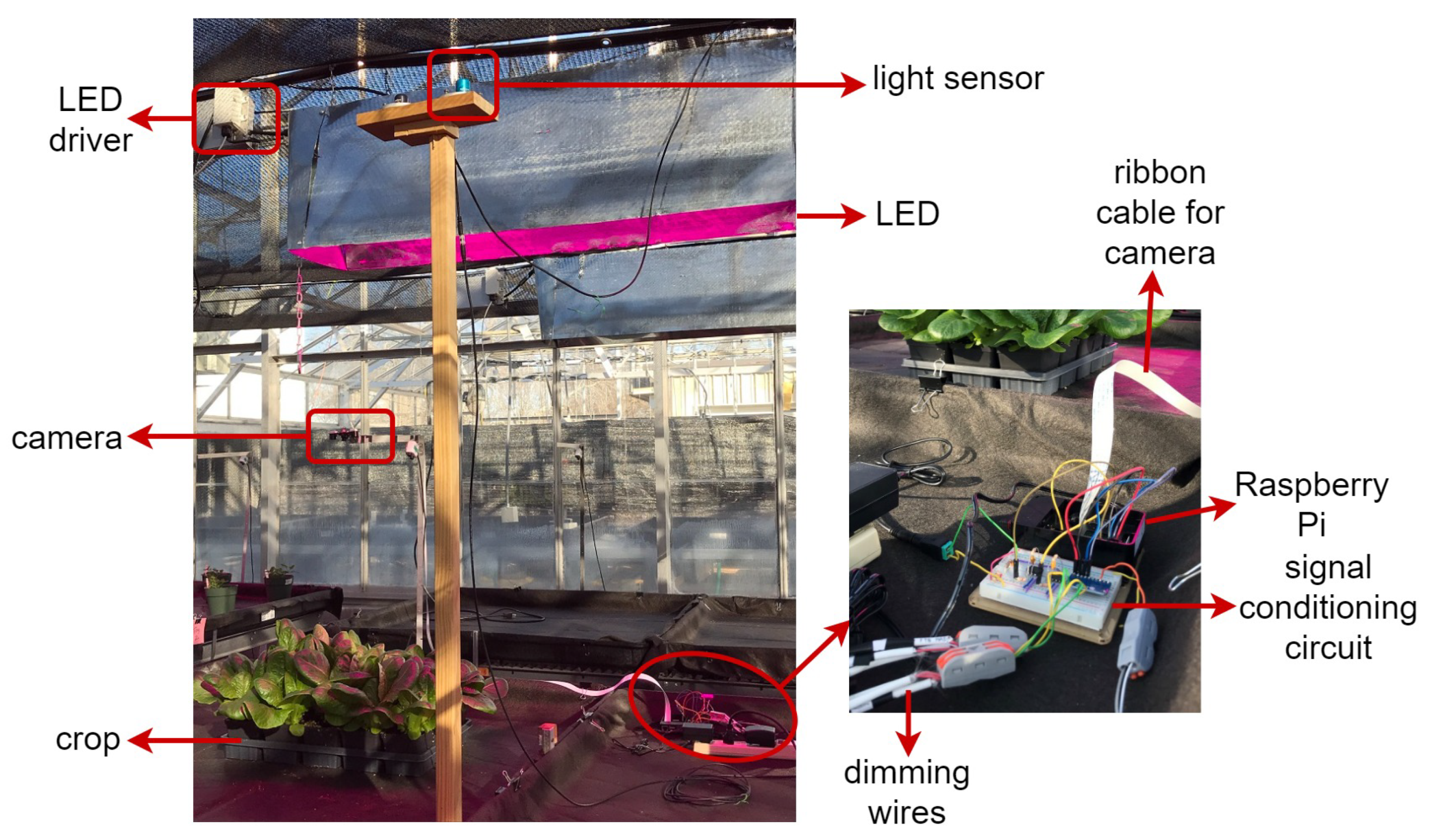 Plants 10 02652 g002 550