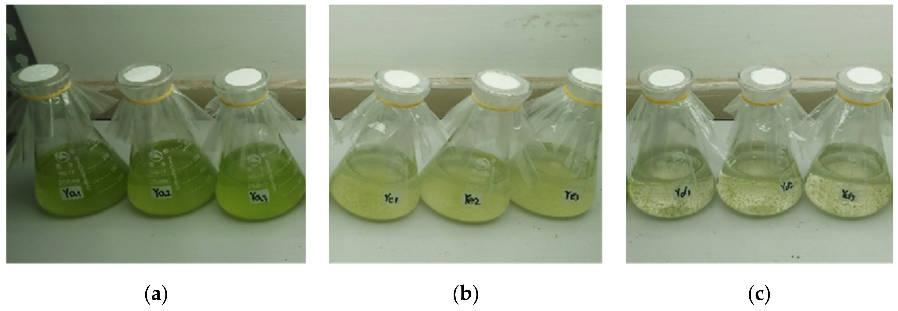 Plants 10 02653 g001 Plants 10 02653 g001