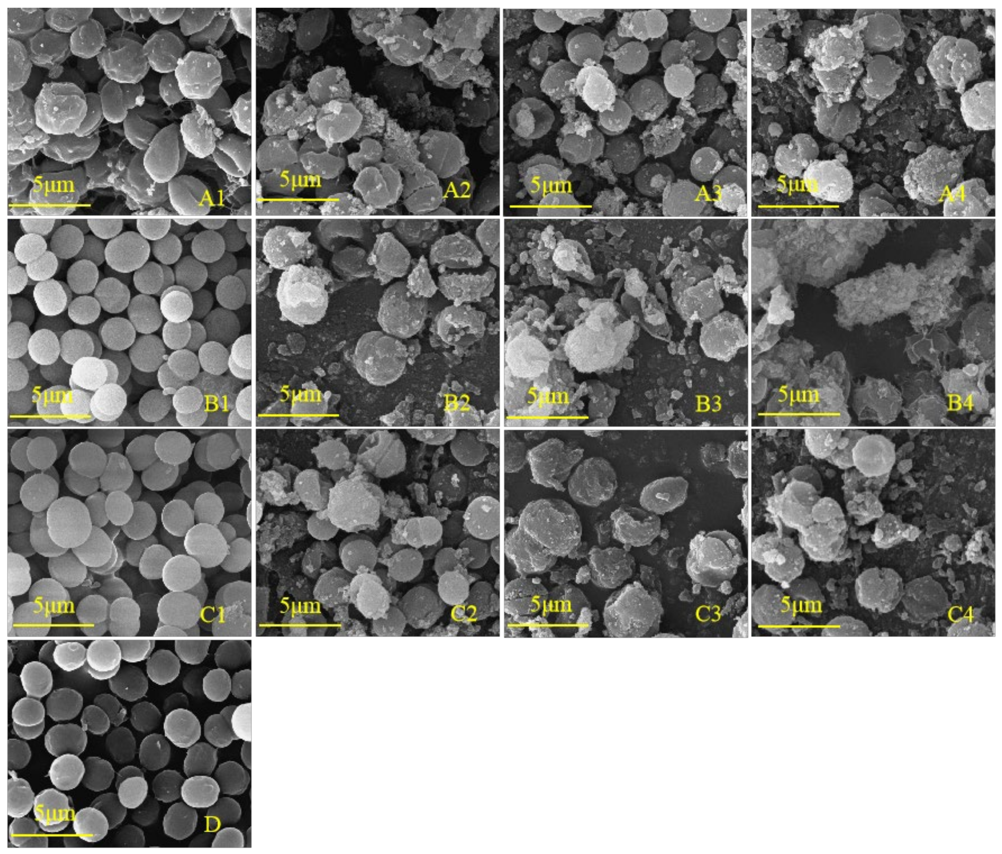 Plants 10 02653 g006 Plants 10 02653 g006