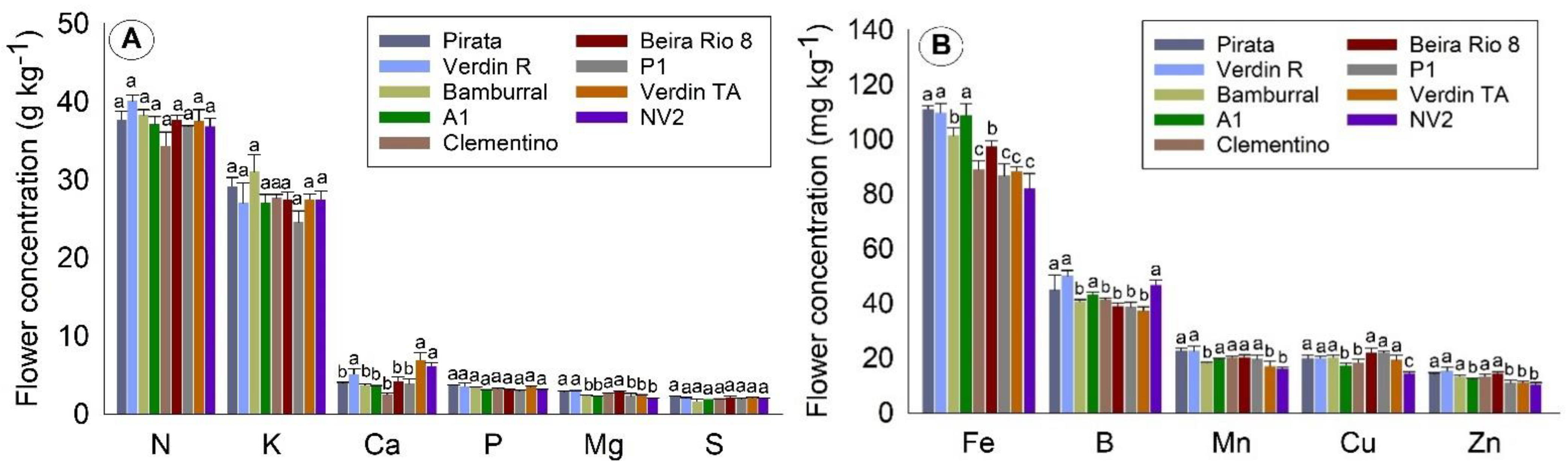 Plants 10 02661 g001 550