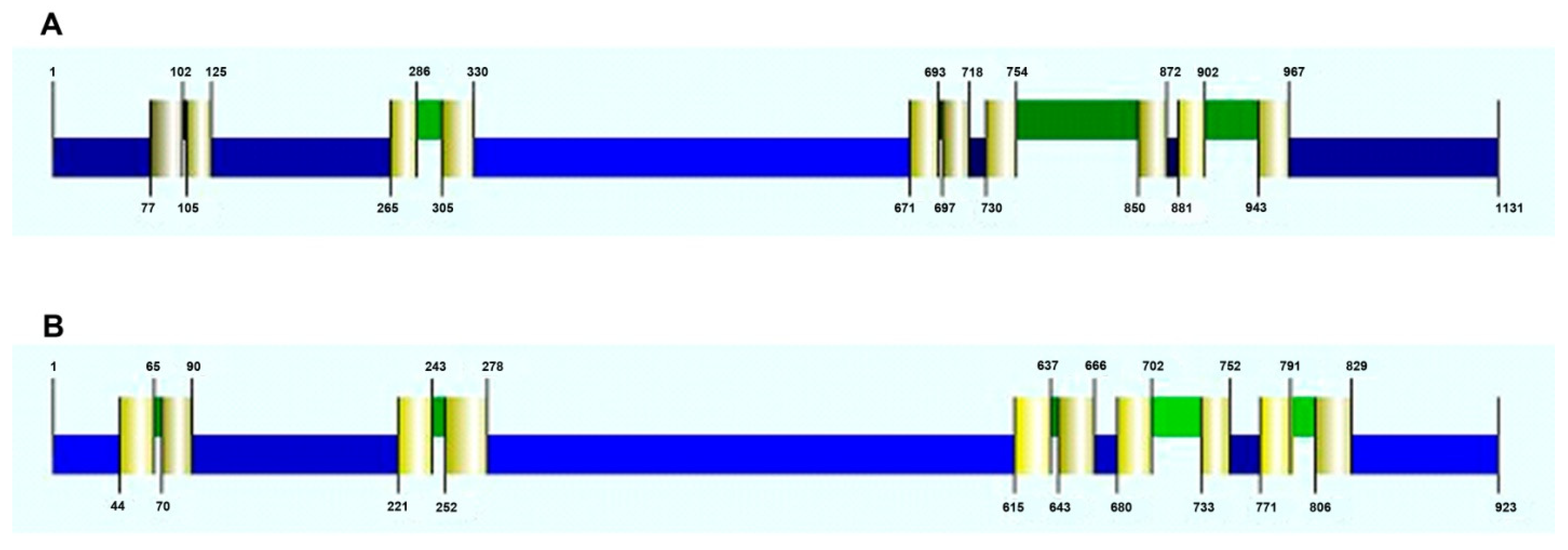 Plants 10 02667 g003 Plants 10 02667 g003